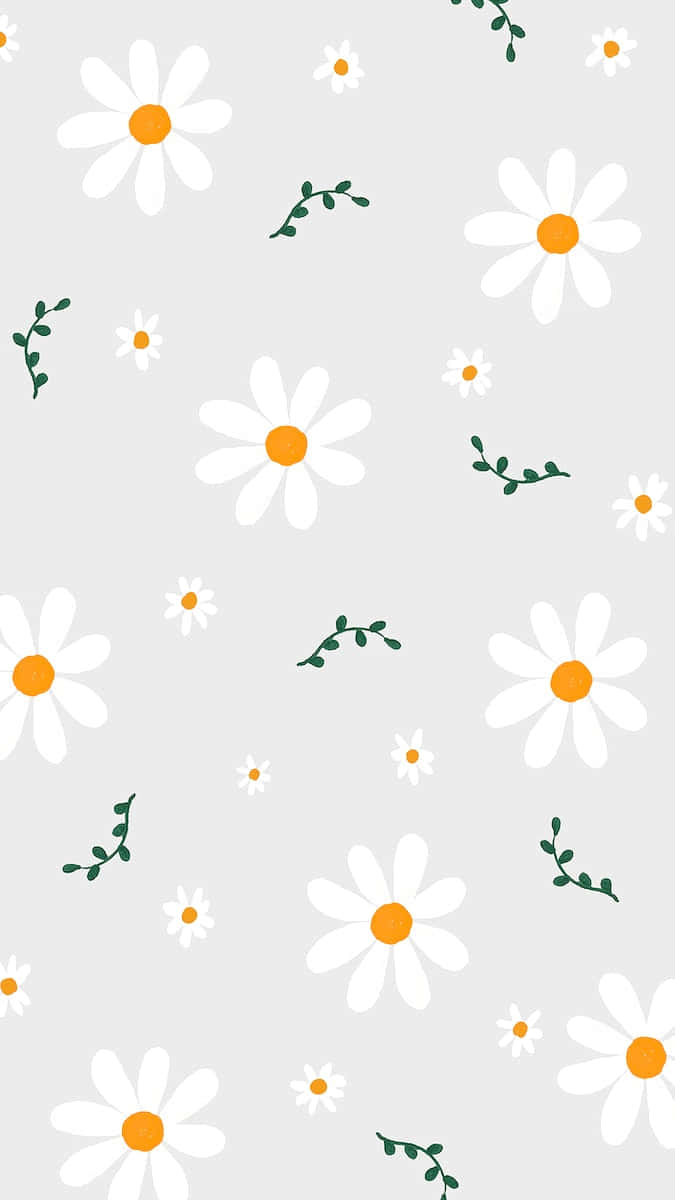 cute daisy, white daisies, green stems, SD Phone Wallpaper