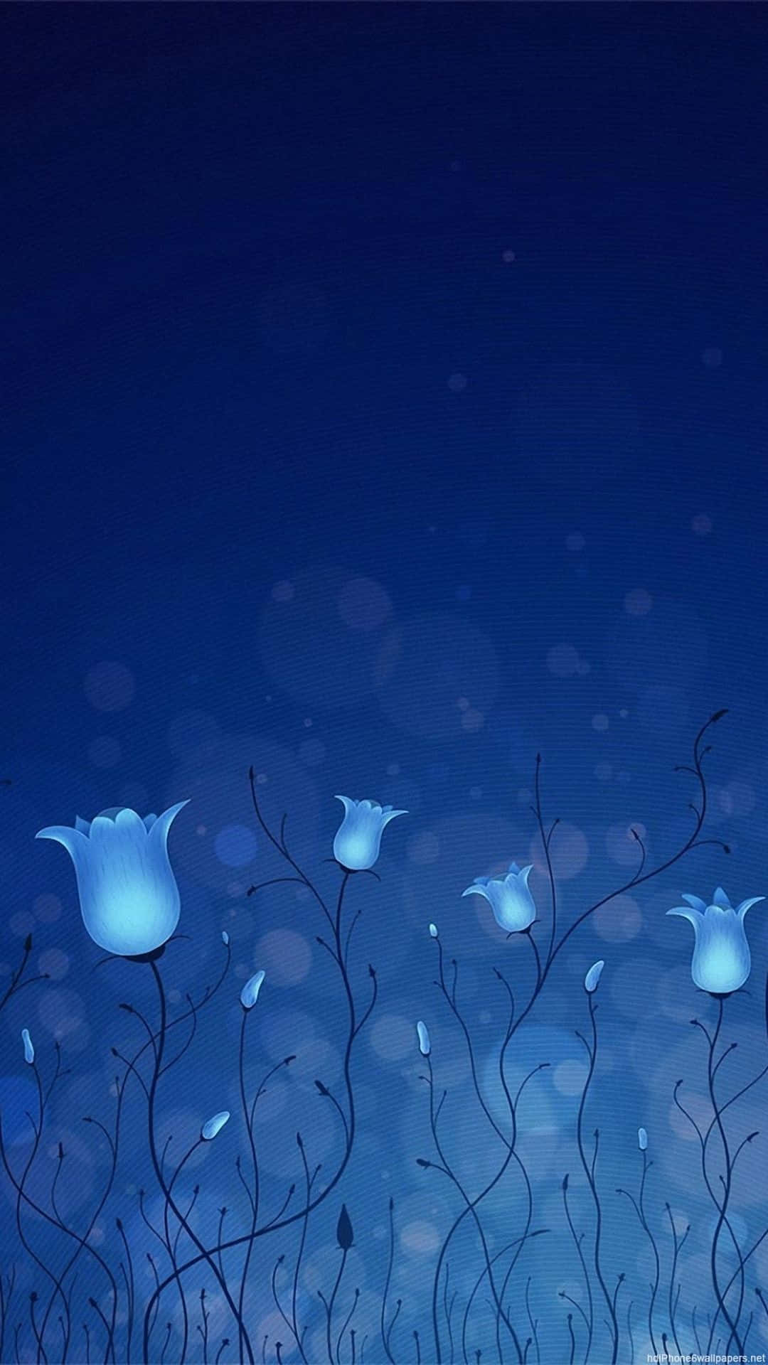 cute dark blue, glowing blue tulips, slender stems, Full HD Phone Wallpaper