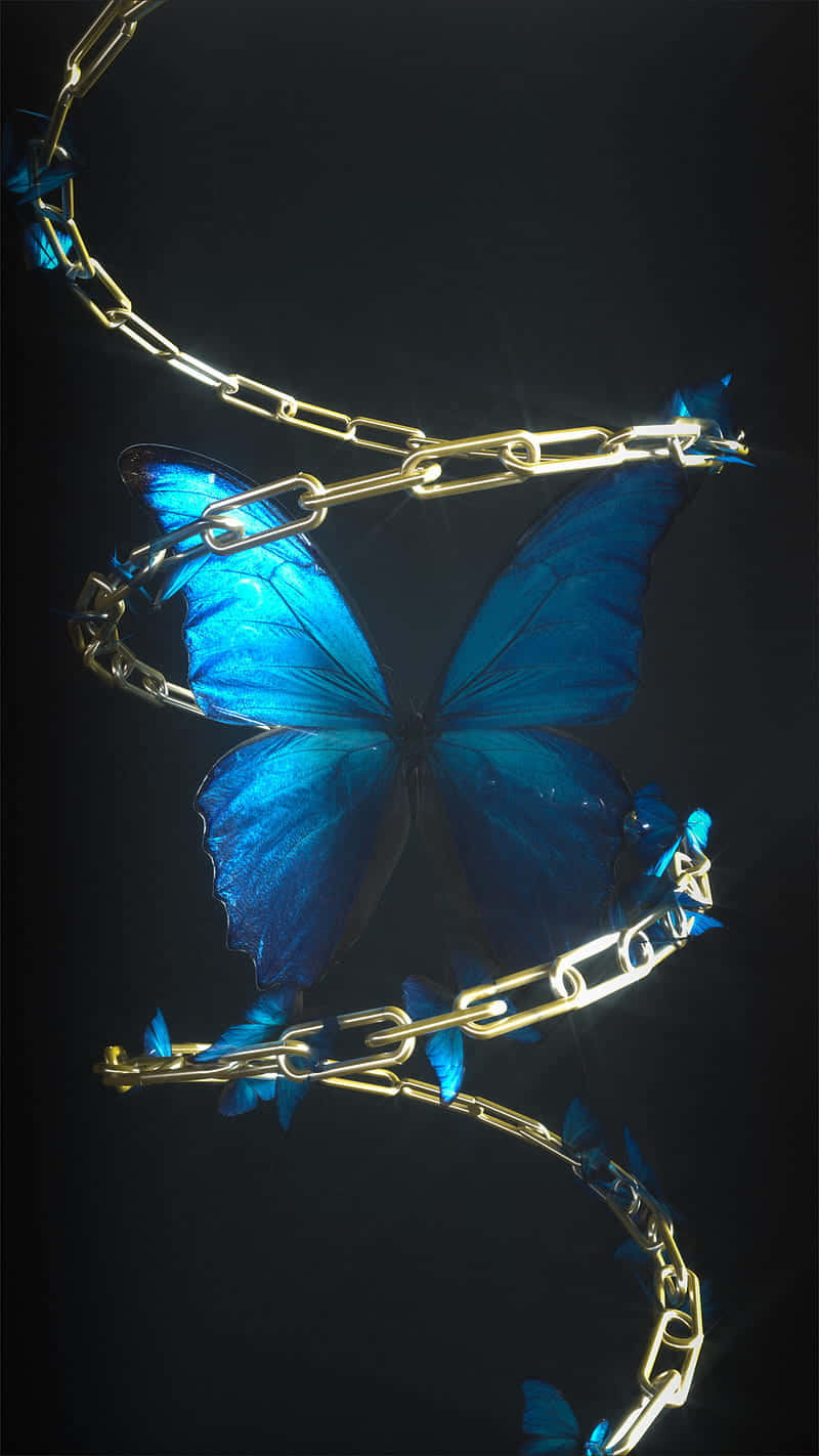 dark blue, blue morpho butterfly, glowing golden chain, HD Phone Wallpaper