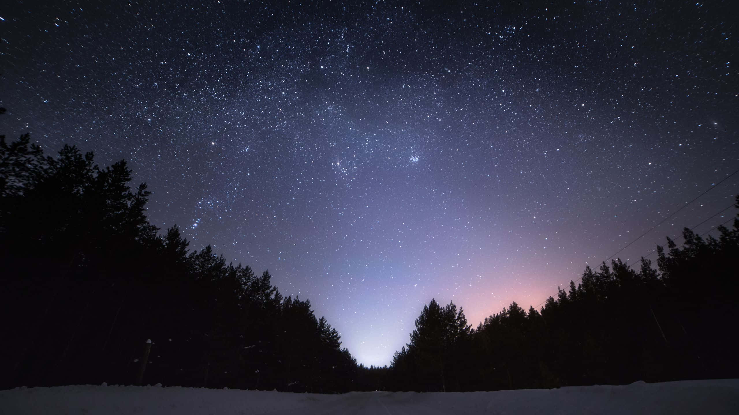 cute bat silhouette, star-filled evening sky, snowy forest, 2K Desktop Wallpaper