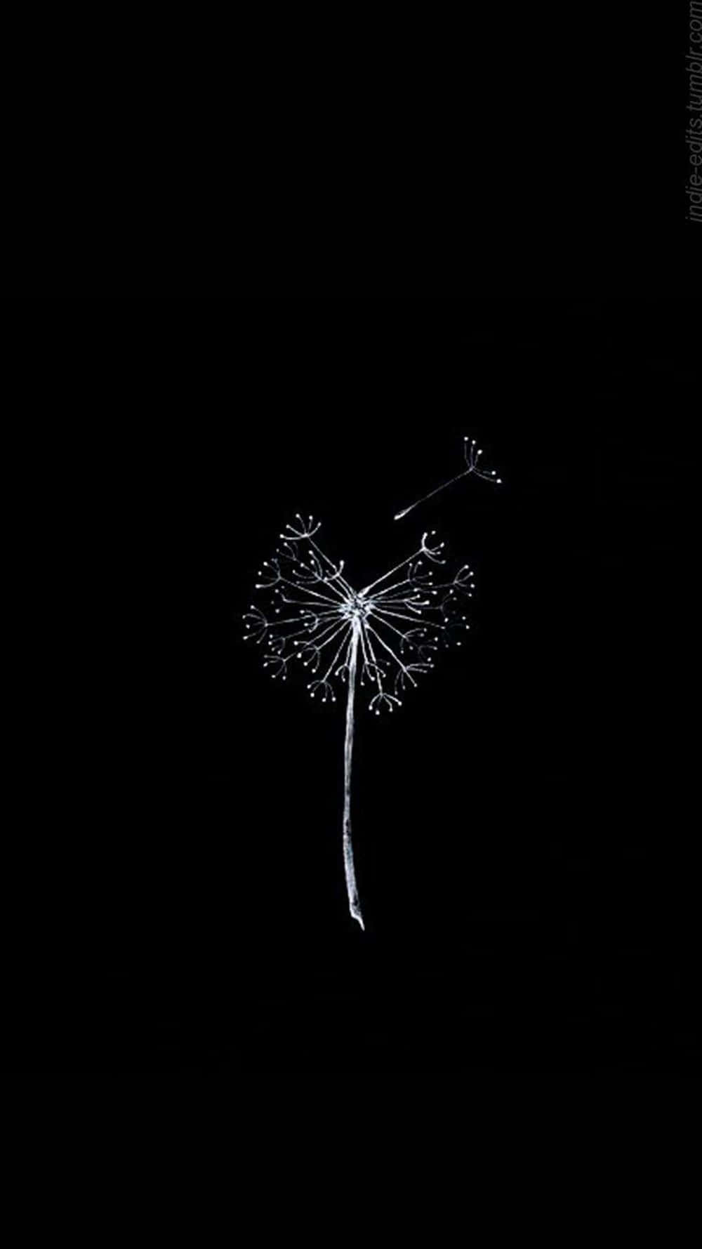 white dandelion seed head, pure black background, one seed drifting away, HD Phone Wallpaper