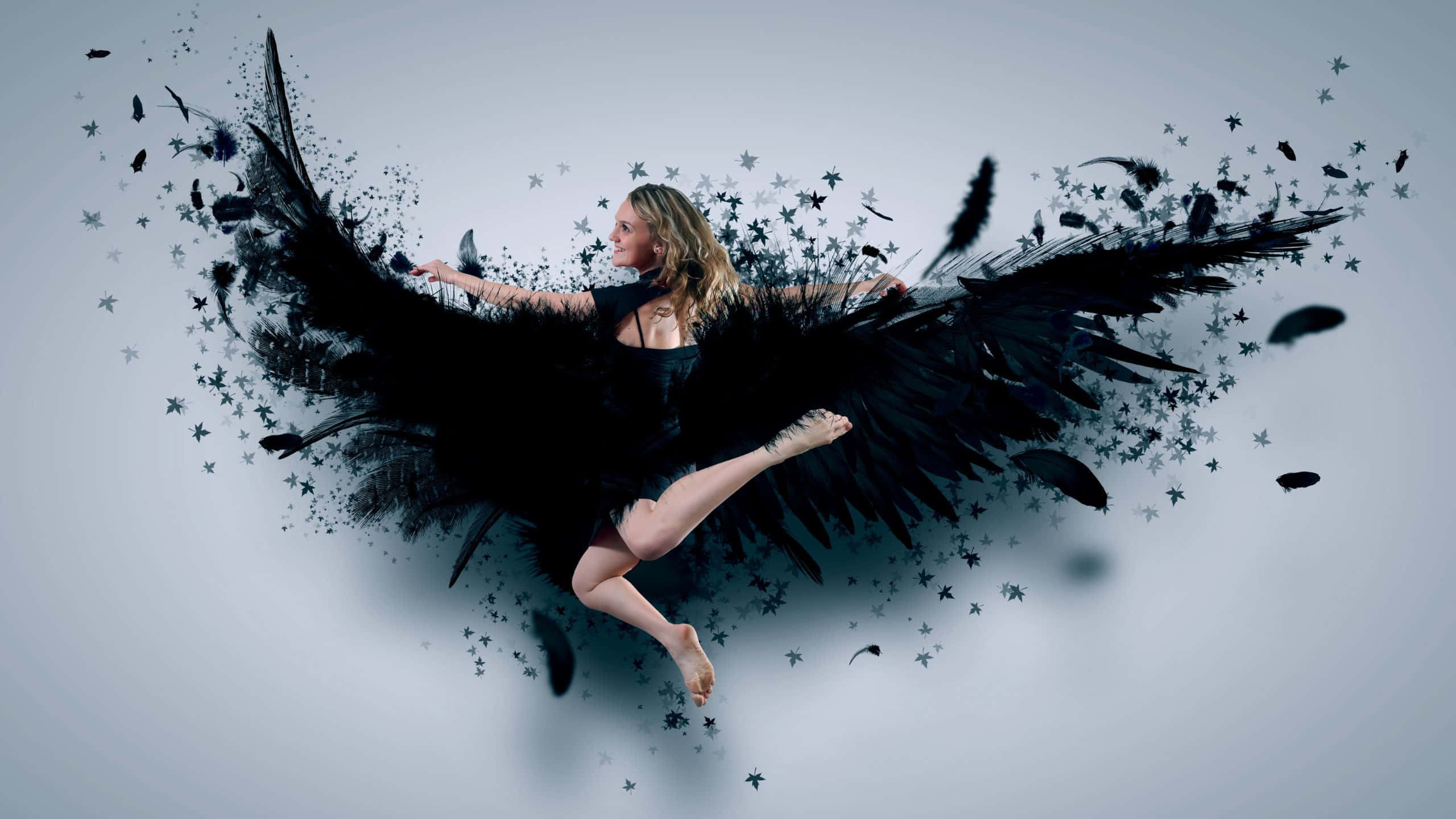black feathered wings, star fragments, pale gray background, 2K Desktop Wallpaper