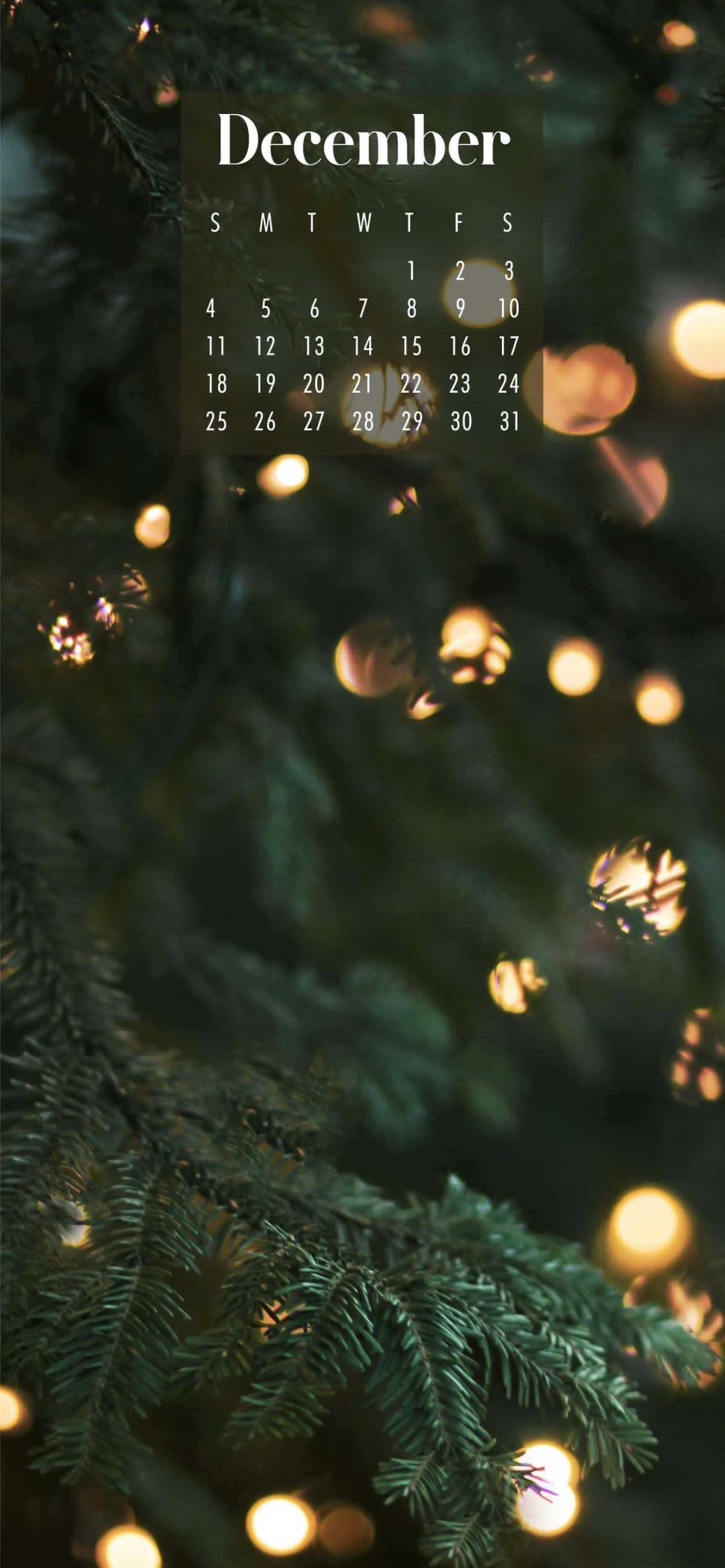 December calendar, evergreen tree, fairy lights, Full HD Phone Wallpaper