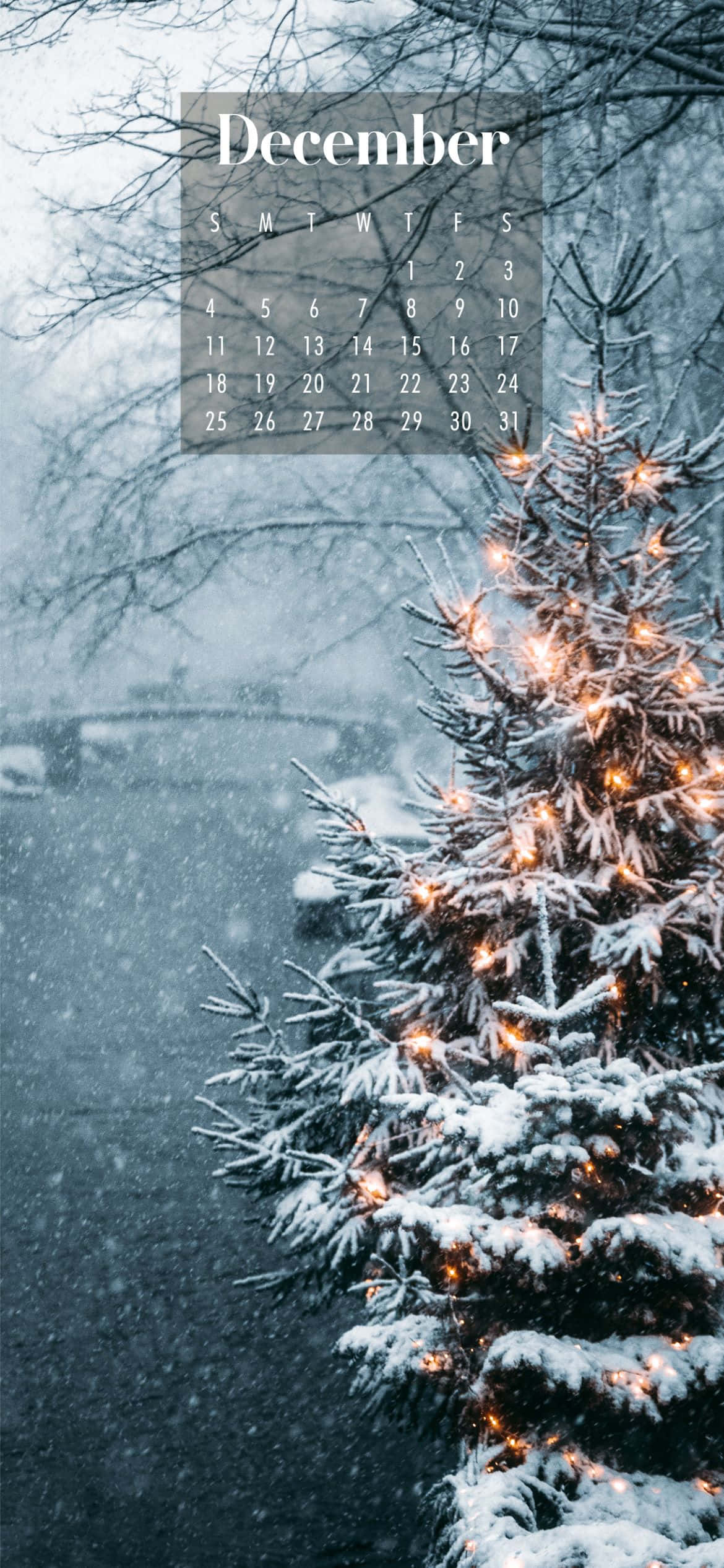 December, snow-covered evergreen tree, warm lights, Full HD Phone Wallpaper