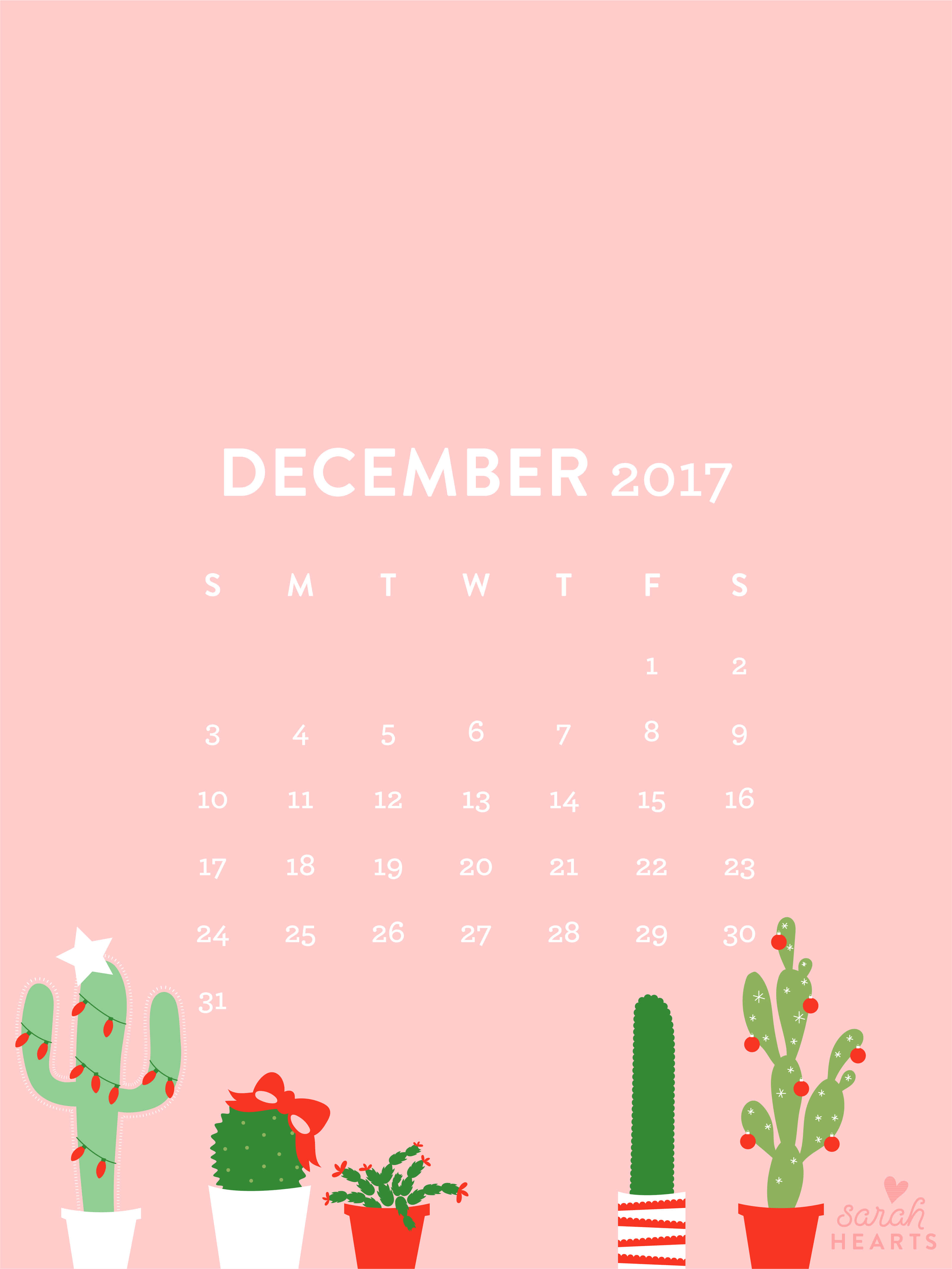 December 2017, pink, festive cacti, 4K Phone Wallpaper