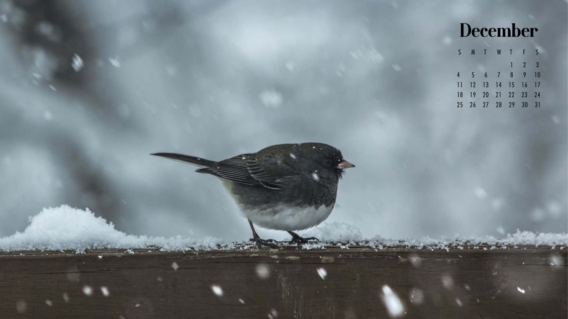 cute december, December calendar overlay, snow-dusted wooden ledge, Full HD Desktop Wallpaper