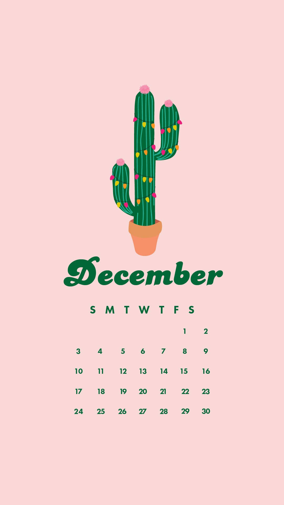 December cactus calendar, festive green cactus, colorful lights, Full HD Phone Wallpaper