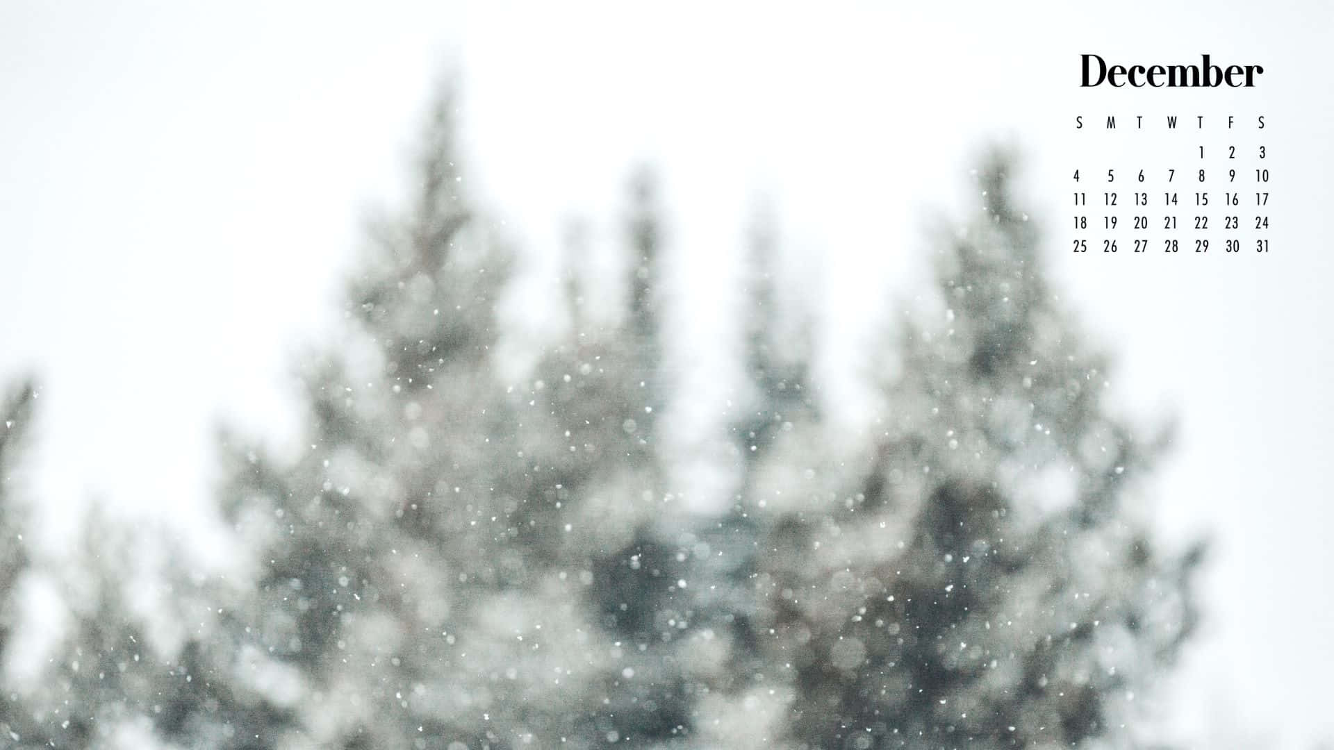 December, snowflakes, evergreen forest, Full HD Desktop Wallpaper