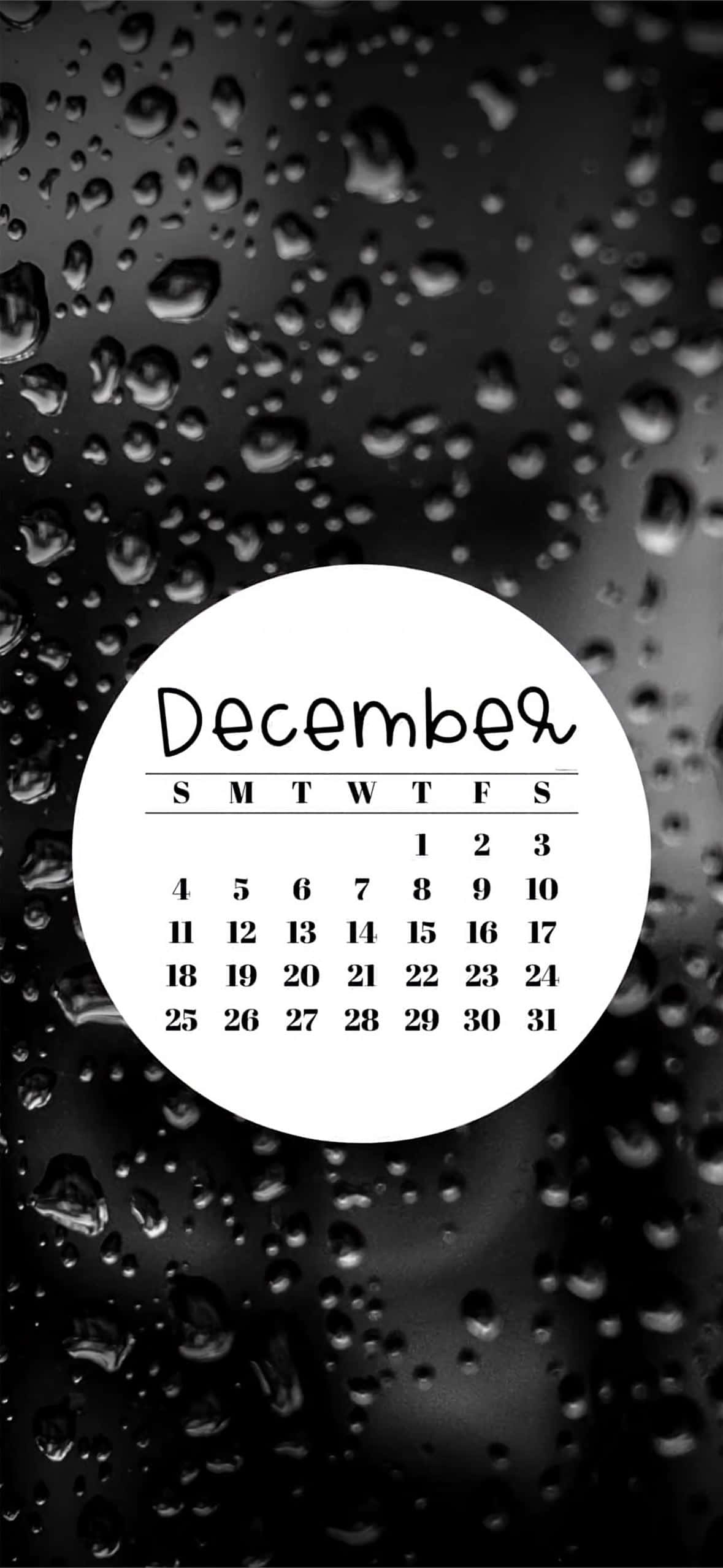 Cute December, December calendar, white circle, Full HD Phone Wallpaper