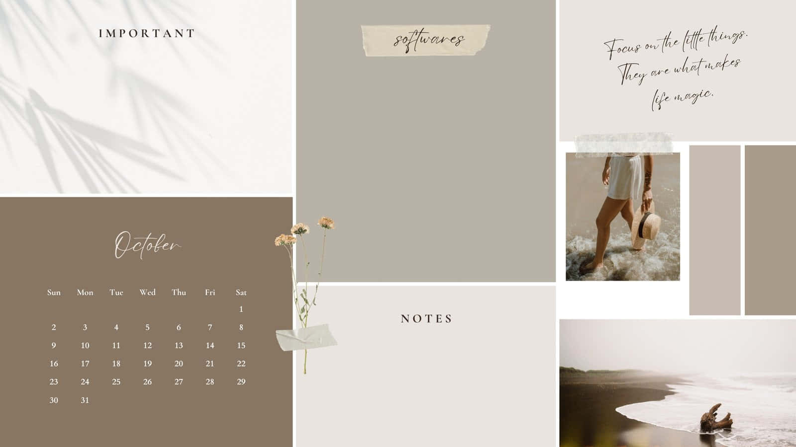 October, beige, taupe, HD Desktop Wallpaper