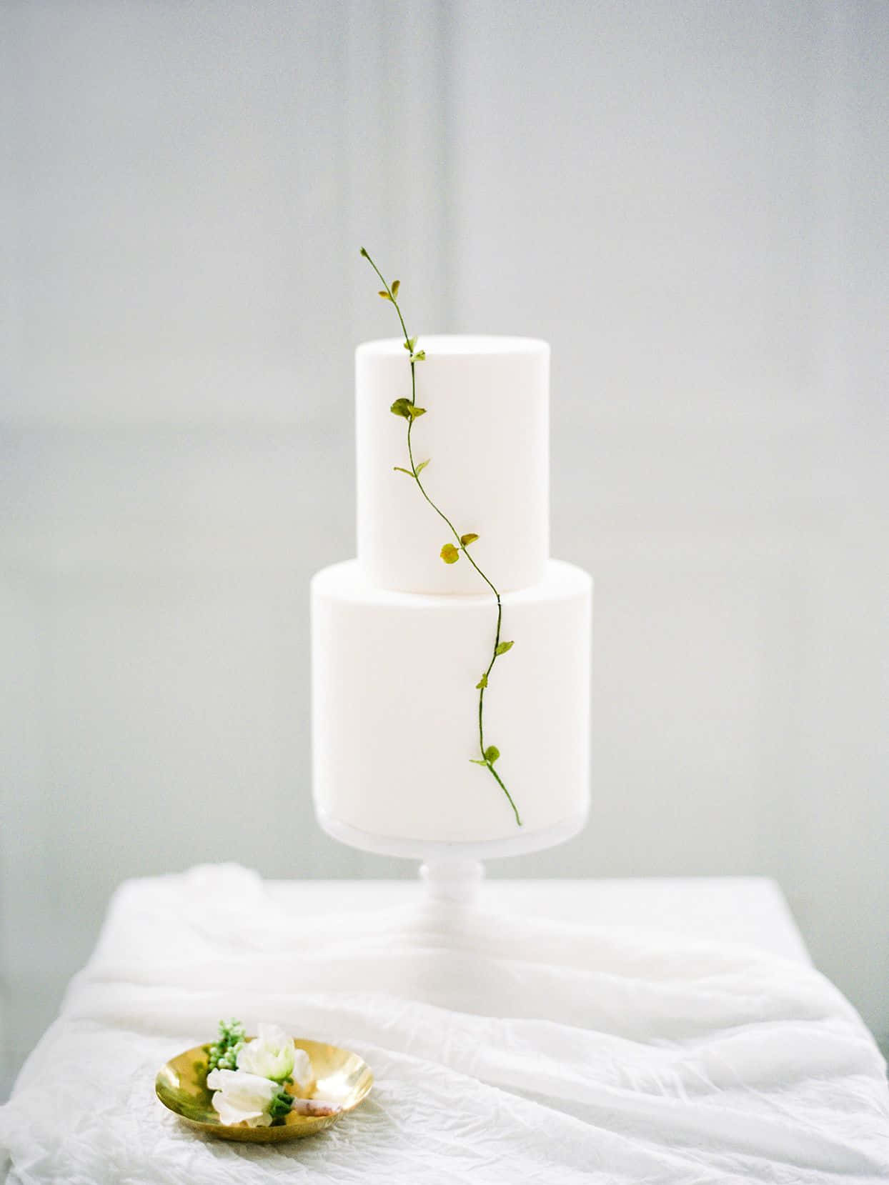 cake fondant, white two-tiered wedding cake, green vine, HD Phone Wallpaper