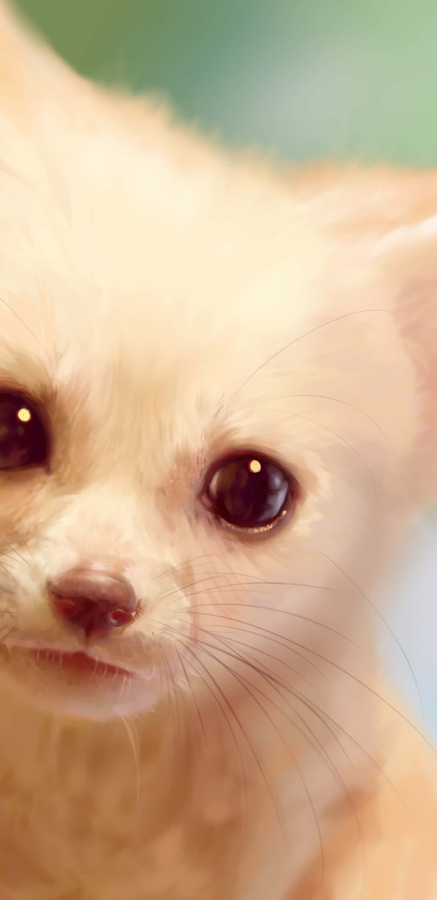 fennec fox, fluffy white, large dark eyes, 2K Phone Wallpaper