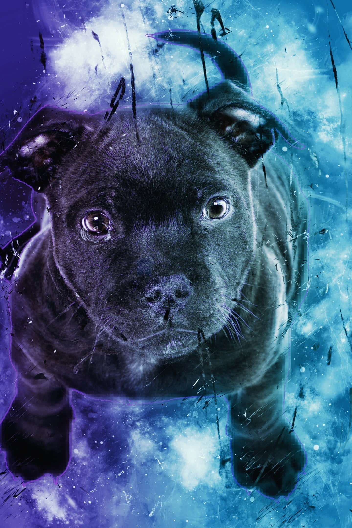 black puppy, cosmic blue, purple nebula, Full HD Phone Wallpaper