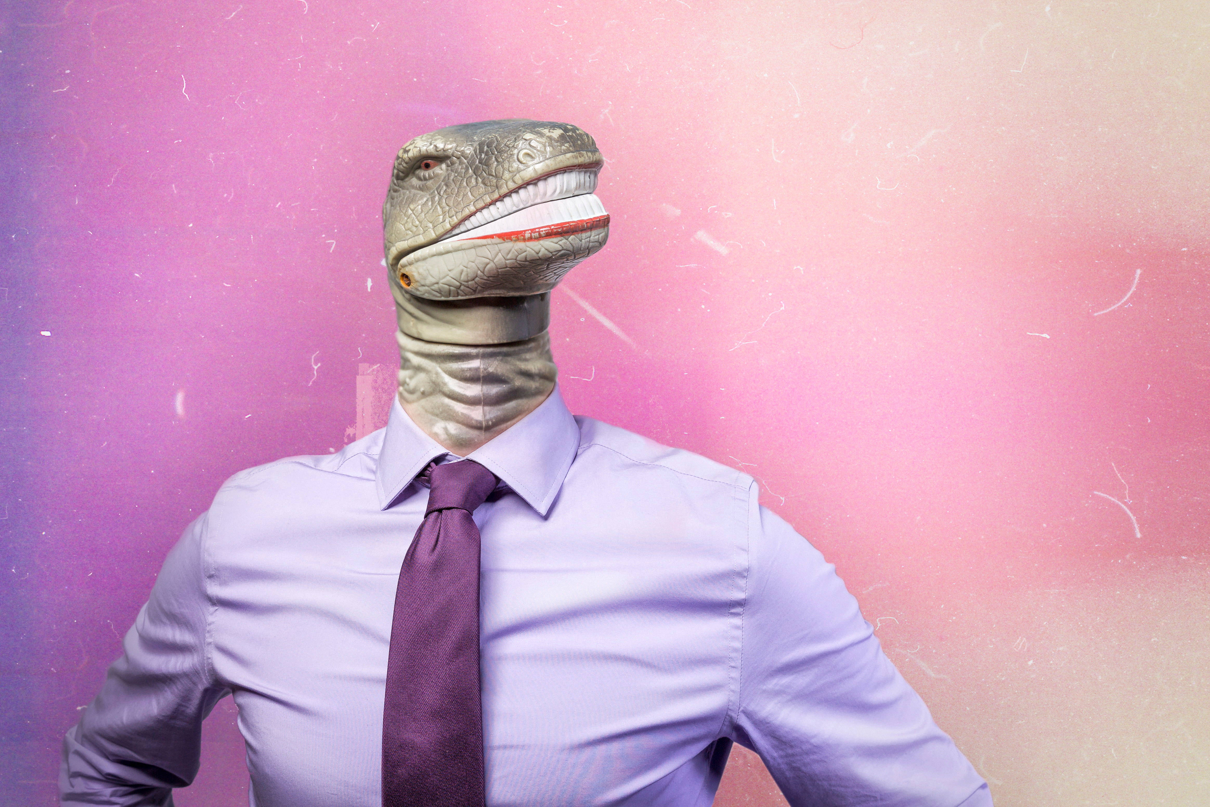 Cute Pink Dinosaur, polo, textured pink and purple gradient background, 4K Desktop Wallpaper