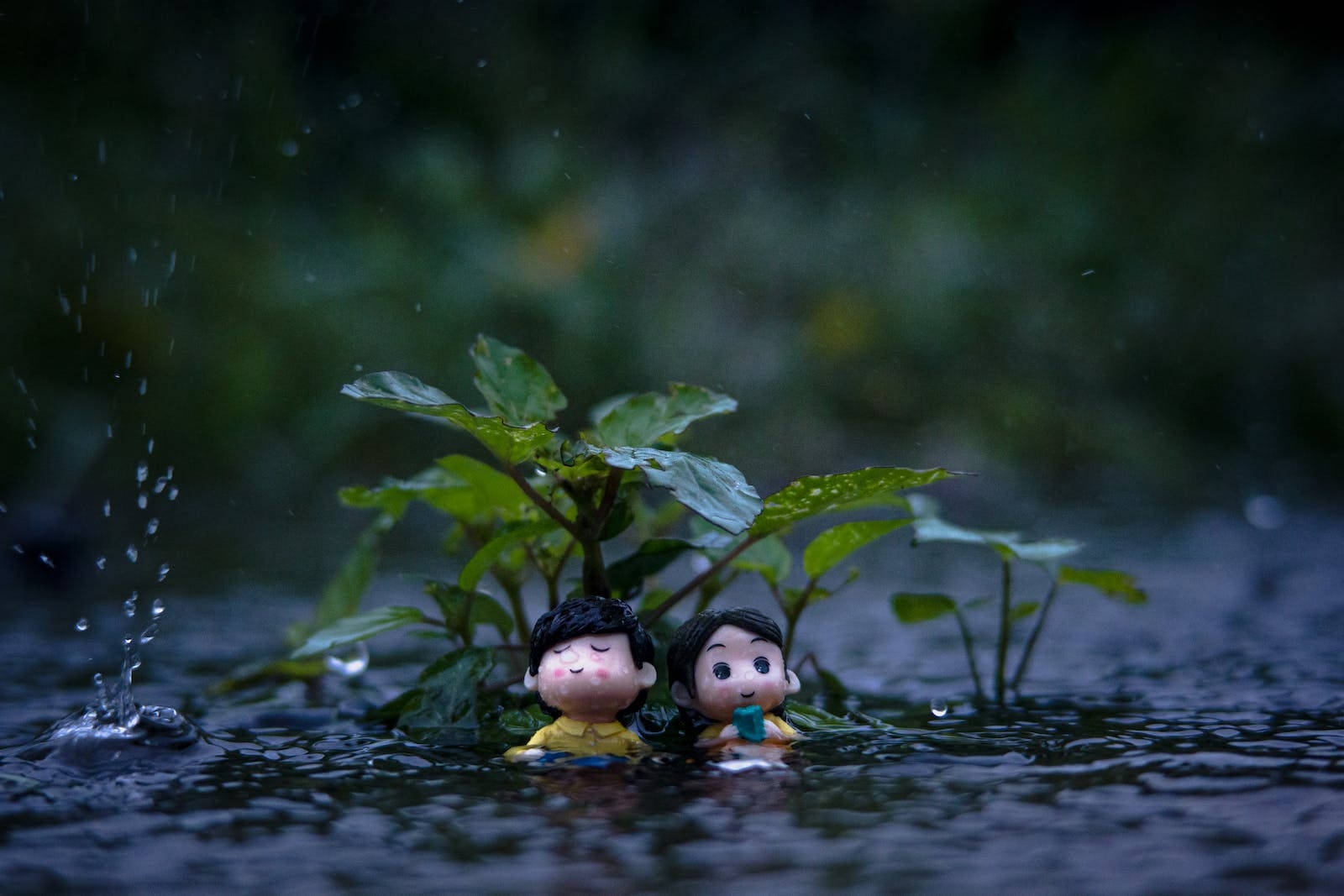 Cute Dolls, small plant, shallow water, HD Desktop Wallpaper