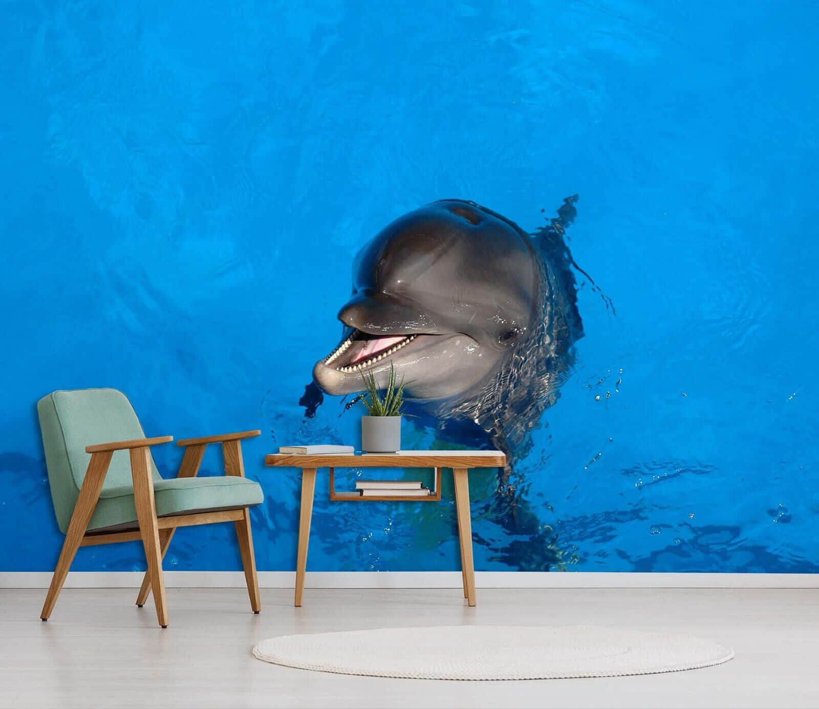 cute dolphin, living room wall, vibrant blue ocean water, HD Desktop Wallpaper