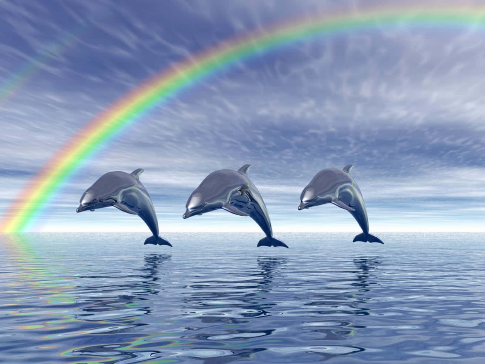 cute dolphin, rainbow, calm ocean waters, HD Desktop Wallpaper