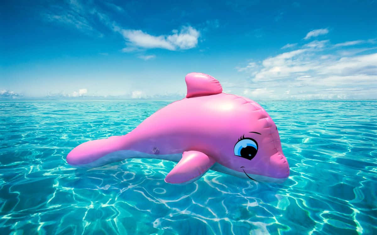 cute pink dolphin inflatable, bright pink, clear turquoise ocean water, SD Desktop Wallpaper