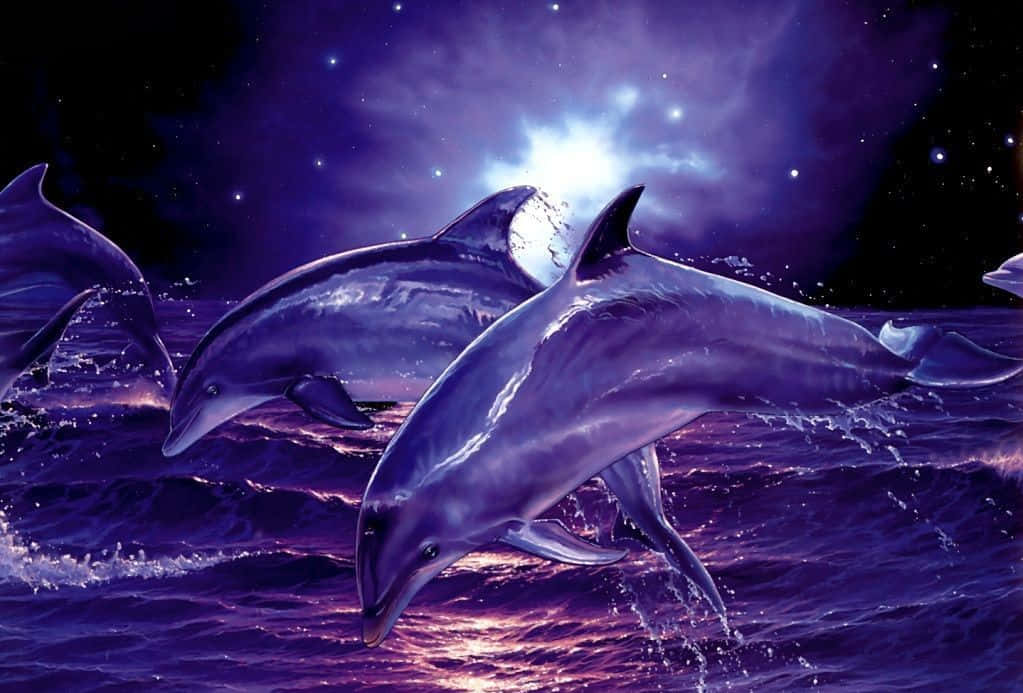 Cool Dolphins, purple, glowing purple waves, SD Desktop Wallpaper
