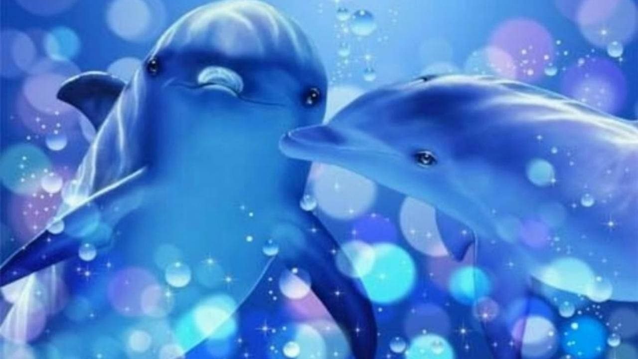 magical dolphin kiss, Majestic Dolphin Companionship, dreamy blue ocean, HD Desktop Wallpaper