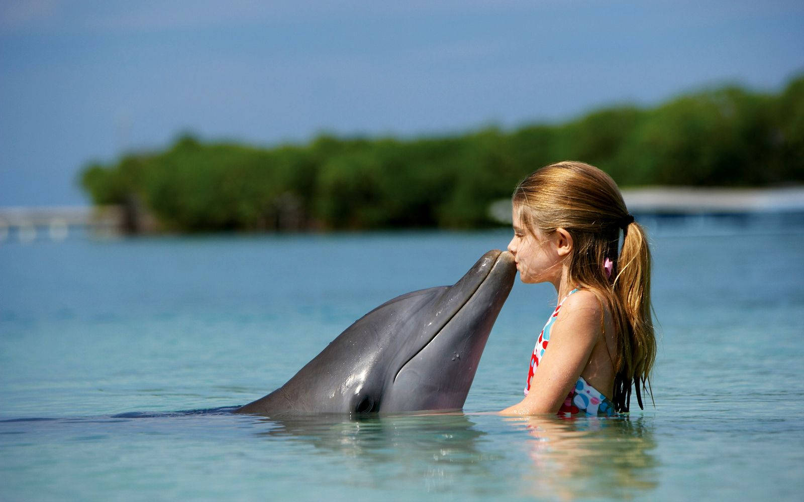 cute girl, dolphin, swimsuit, HD Desktop Wallpaper