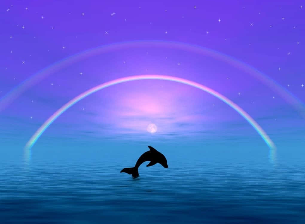 cute dolphin silhouette, calm blue waters, glowing rainbow, SD Desktop Wallpaper