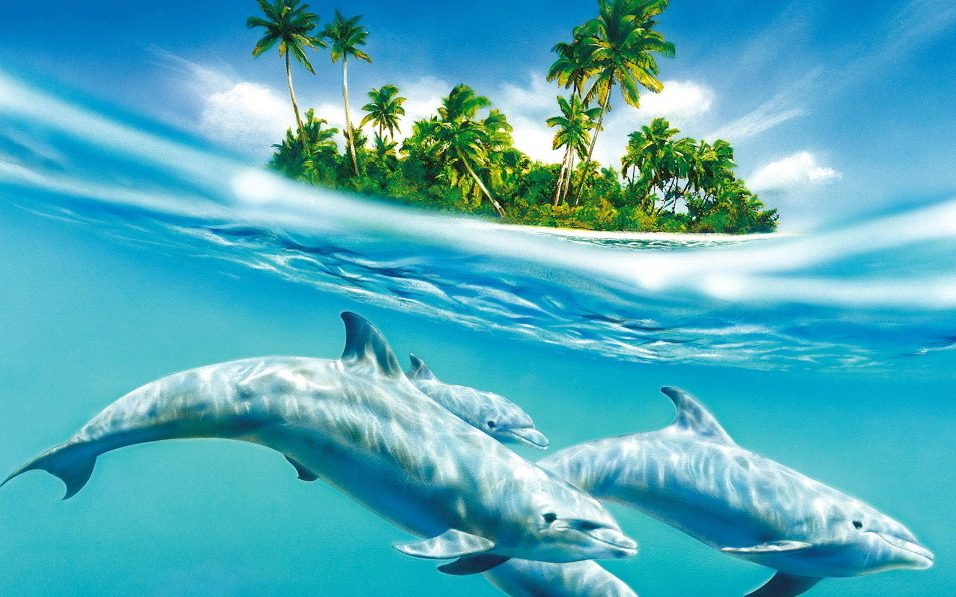 dolphins, palm trees, sunlit tropical island, Full HD Desktop Wallpaper
