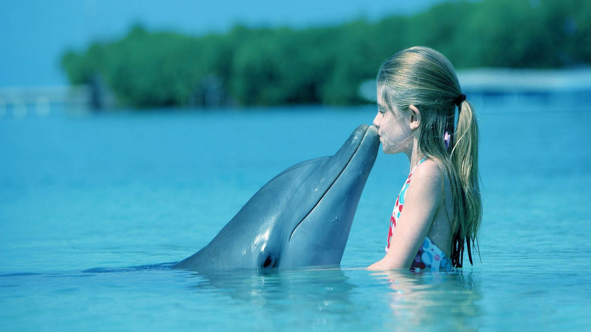 kissing cute dolphin, young girl in a swimsuit, dolphin's nose, Full HD Desktop Wallpaper
