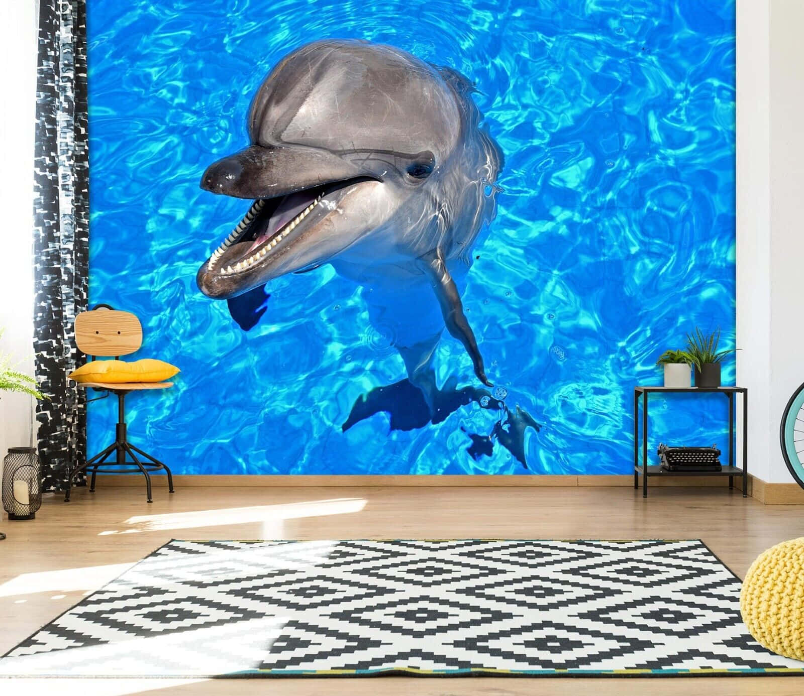 cute dolphin, office wall, vibrant blue water, HD Desktop Wallpaper