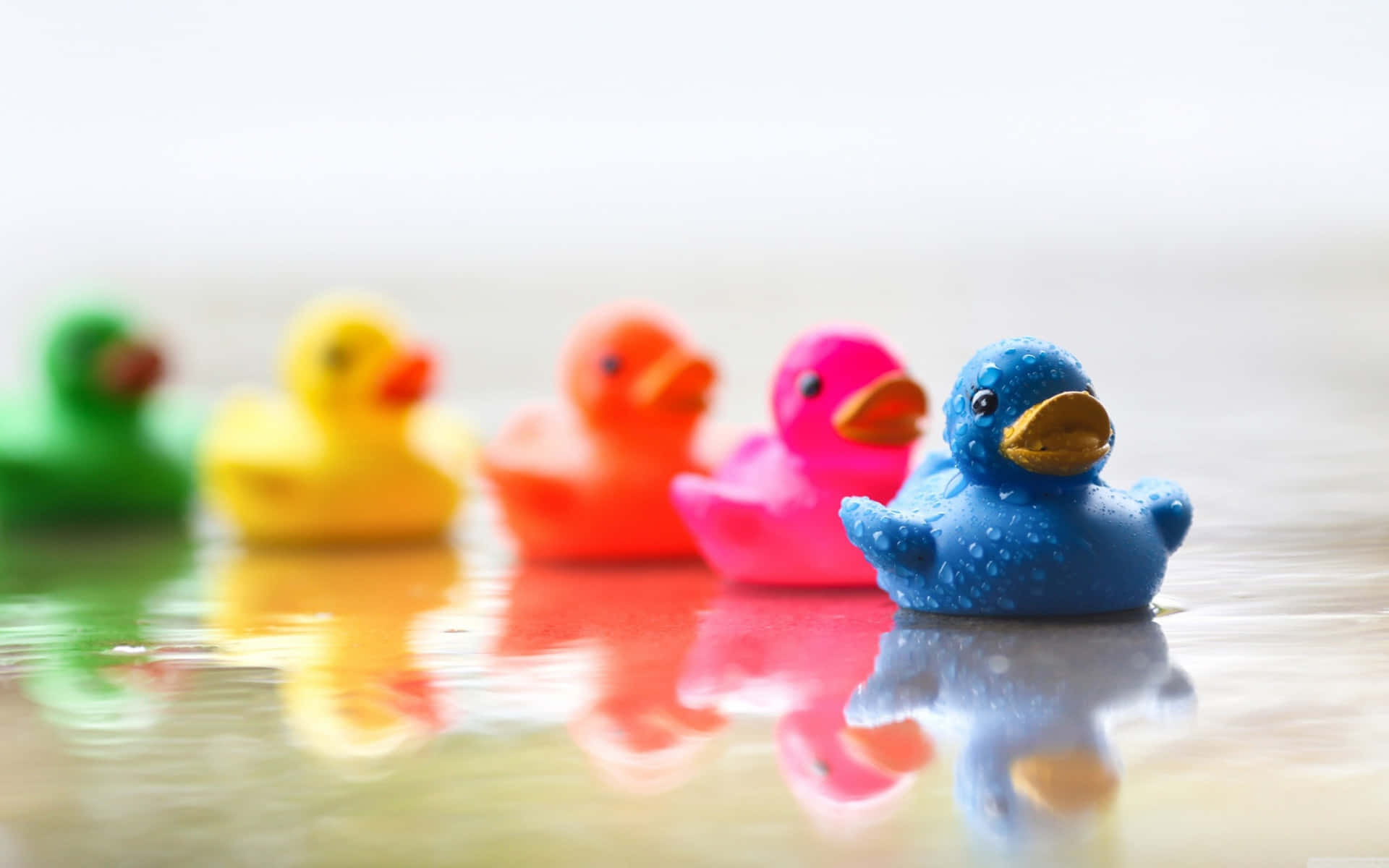 cute duck, rubber ducks, blue duck, Full HD Desktop Wallpaper