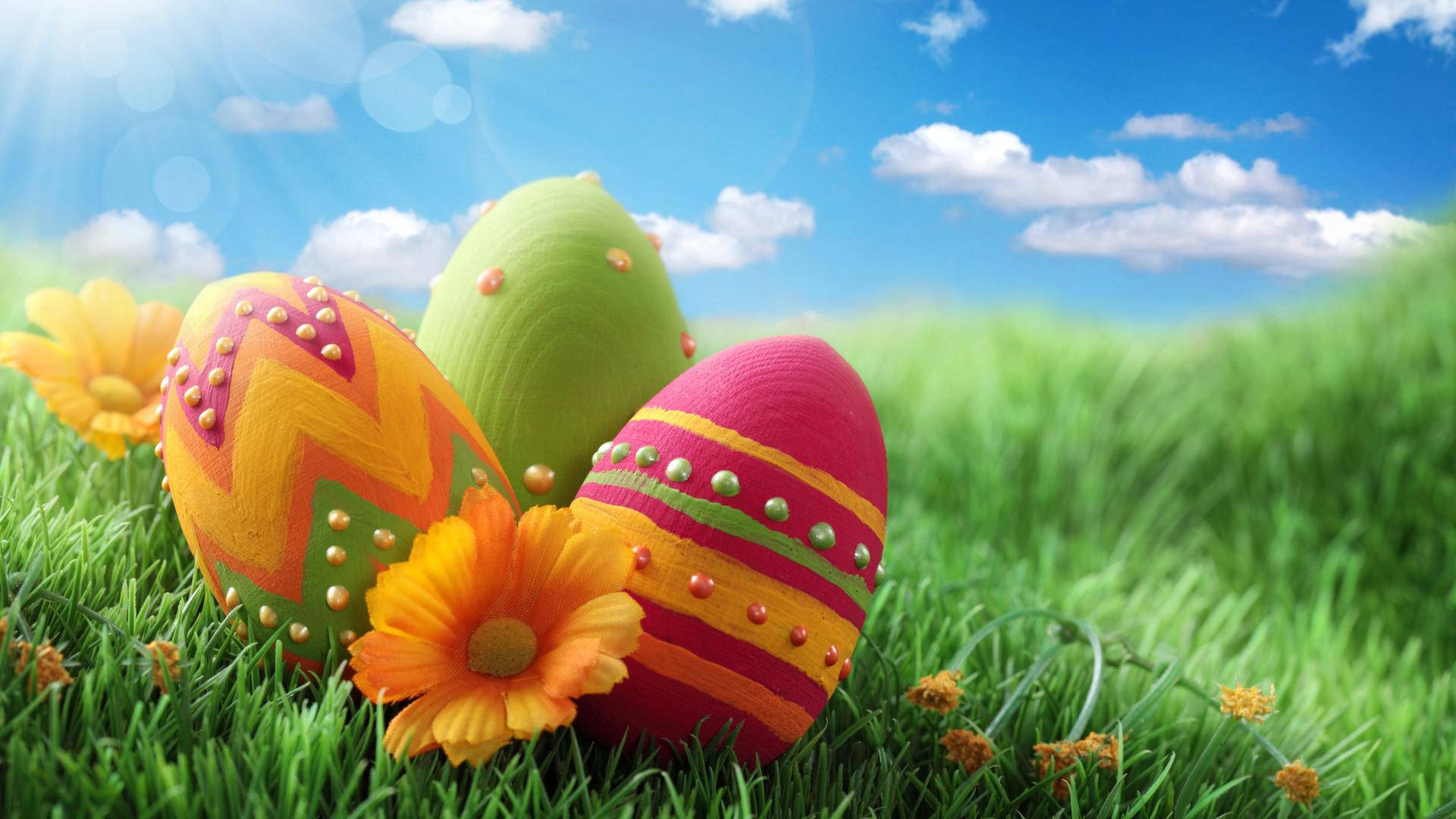 Easter eggs, orange daisies, lush green grass, Full HD Desktop Wallpaper