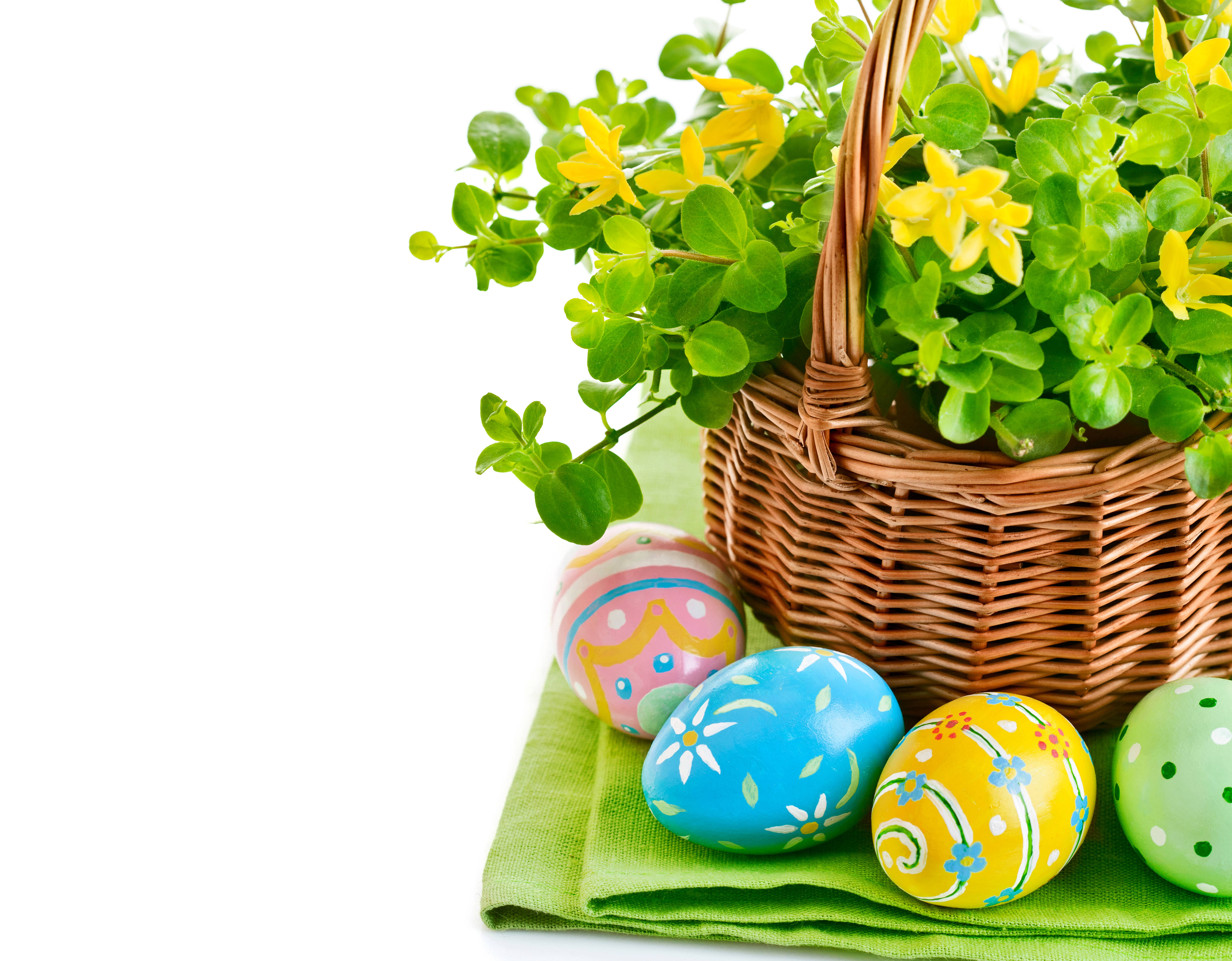 wicker basket, green foliage, yellow flowers, 4K Desktop Wallpaper