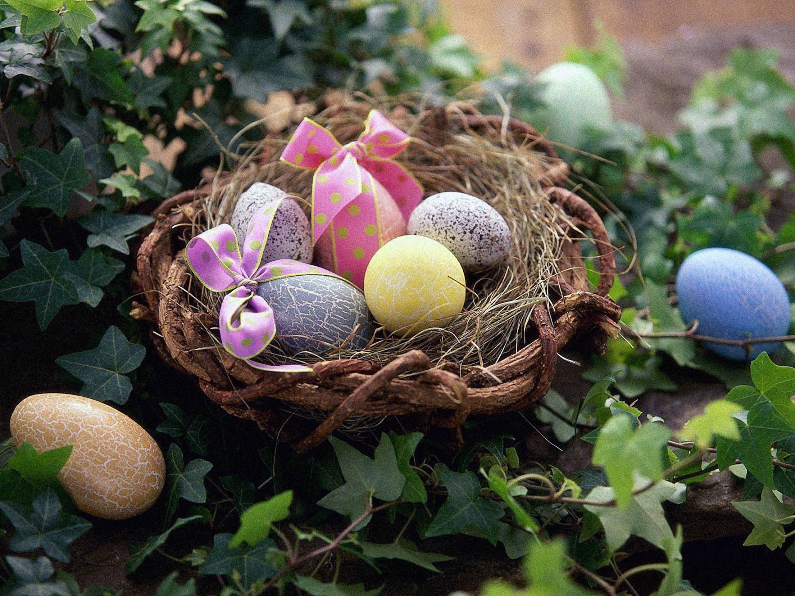 cute easter nest, woven basket, colorful Easter eggs, 2K Desktop Wallpaper