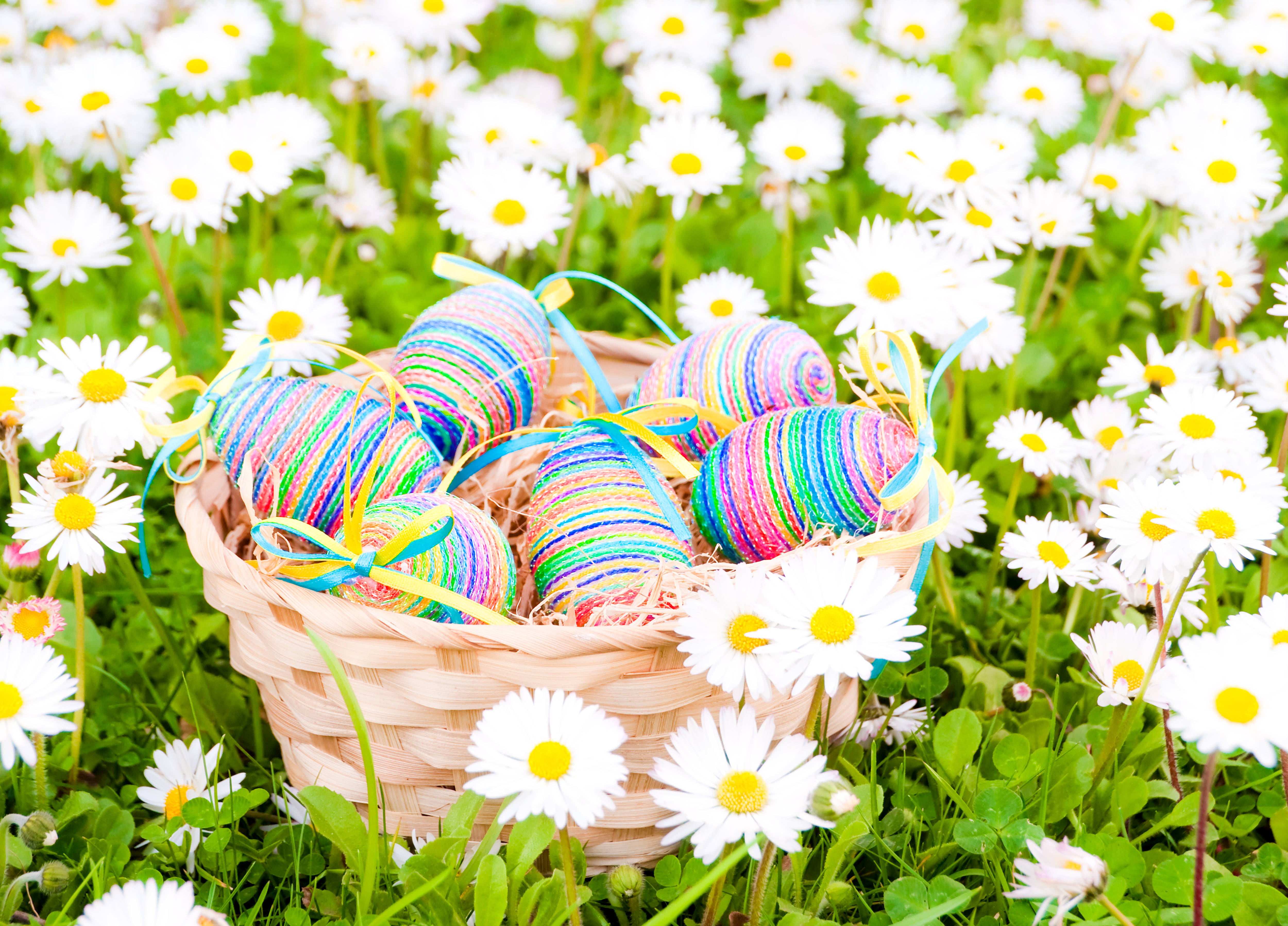 Cute Easter Egg Daisy, woven basket, vibrantly striped Easter eggs, 4K Desktop Wallpaper