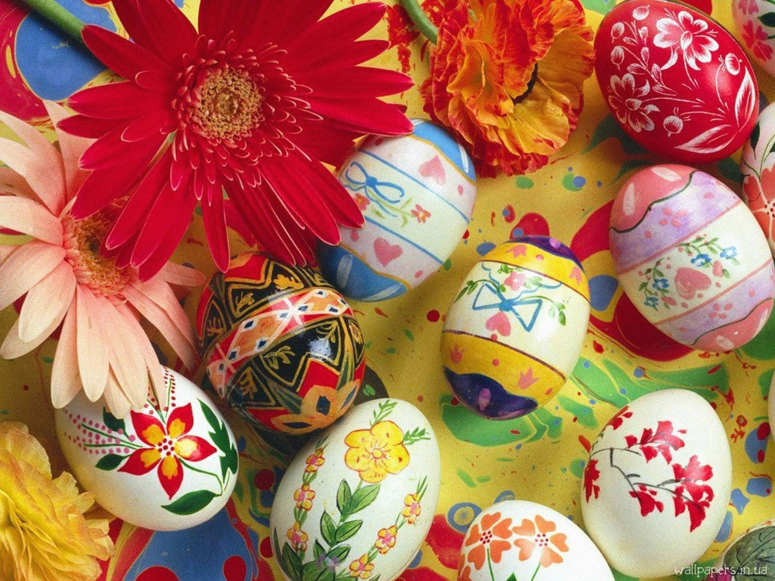 Cute Easter, Easter eggs, gerbera daisies, 2K Desktop Wallpaper