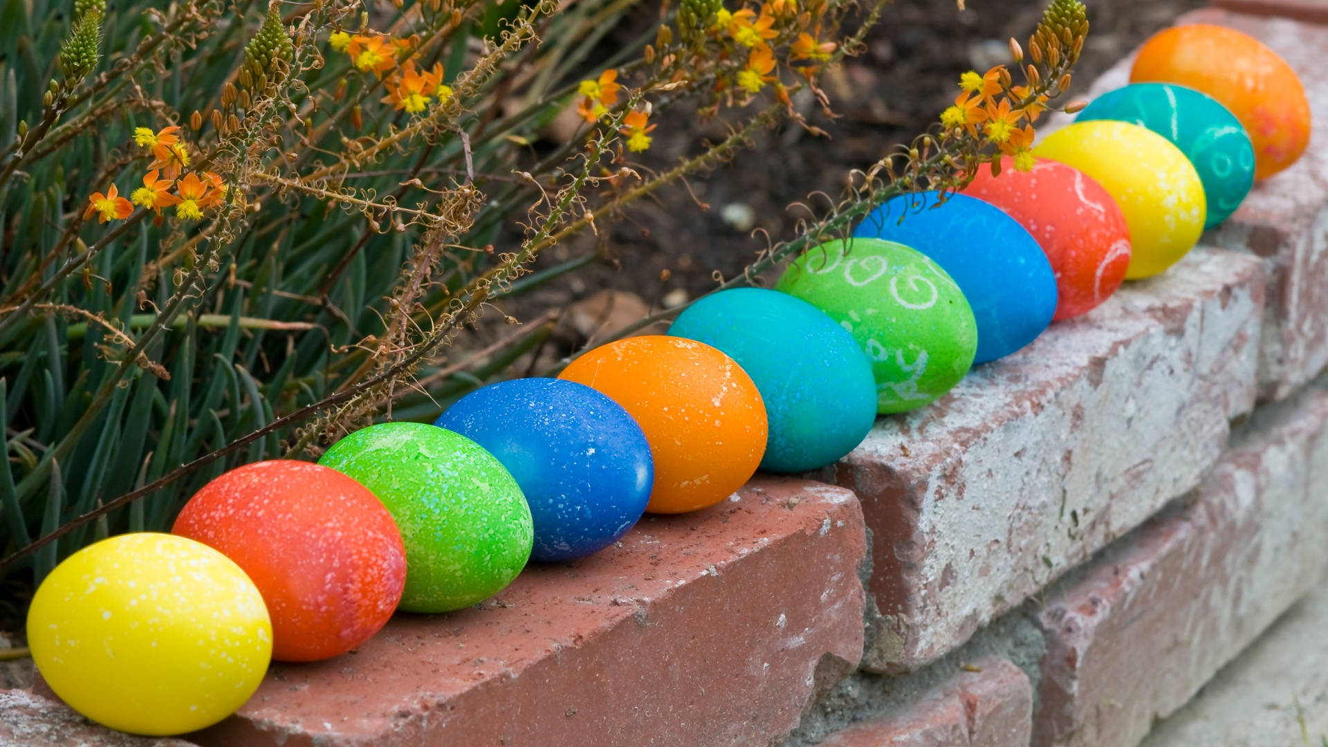 rainbow hues, weathered brick wall, spiky green plants, Full HD Desktop Wallpaper