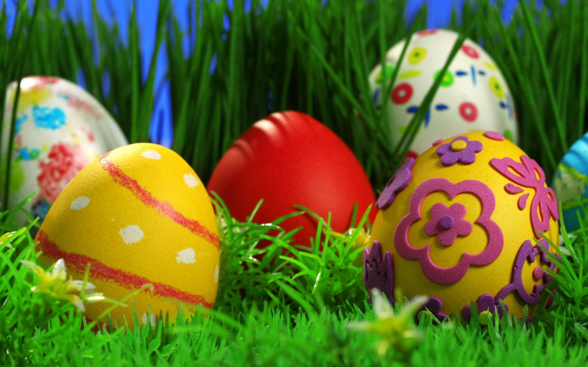 Cute Painted Easter Eggs, vibrant decorated Easter eggs, lush green grass, Full HD Desktop Wallpaper