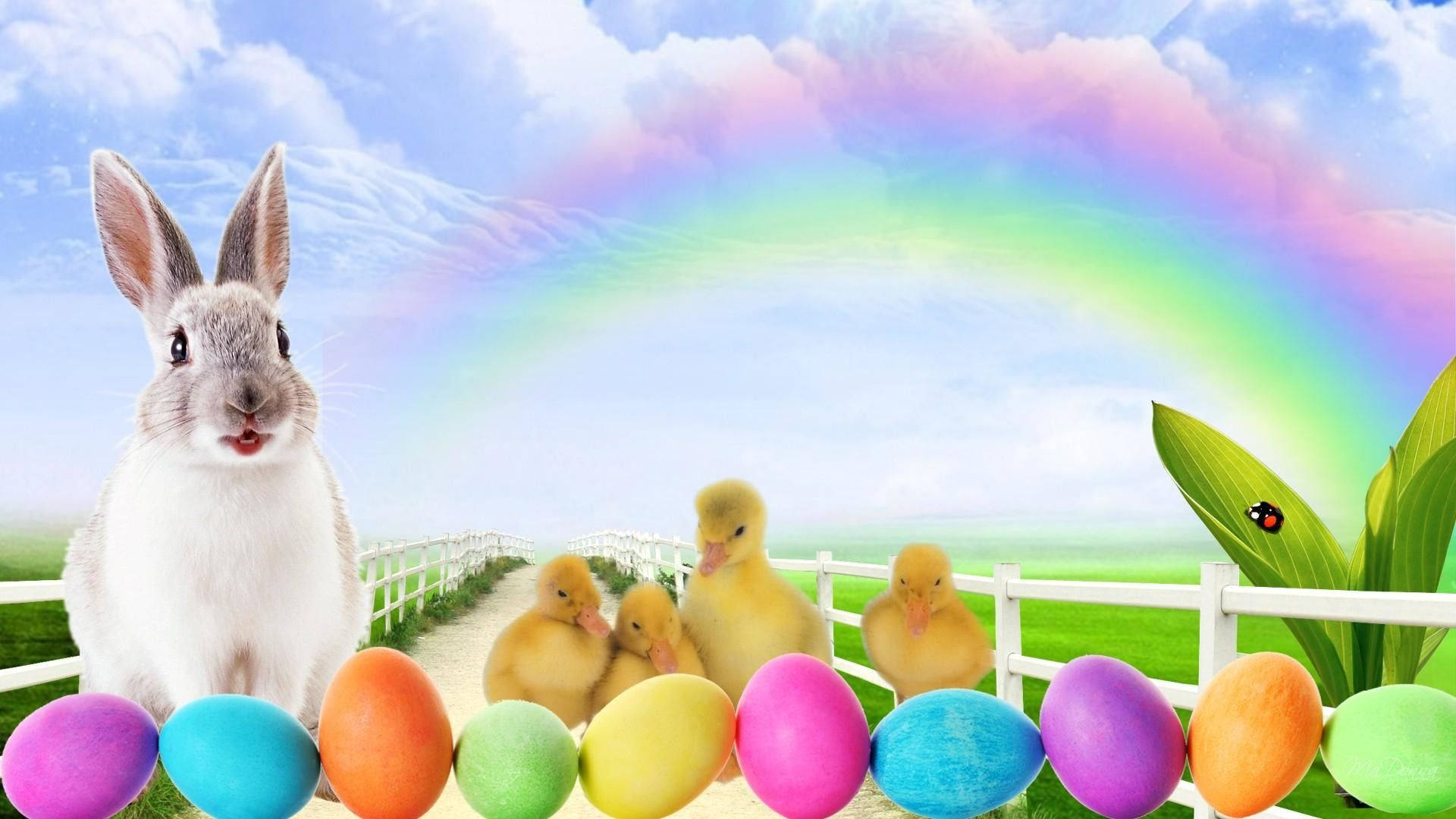 white rabbit, yellow ducklings, colorful Easter eggs, Full HD Desktop Wallpaper