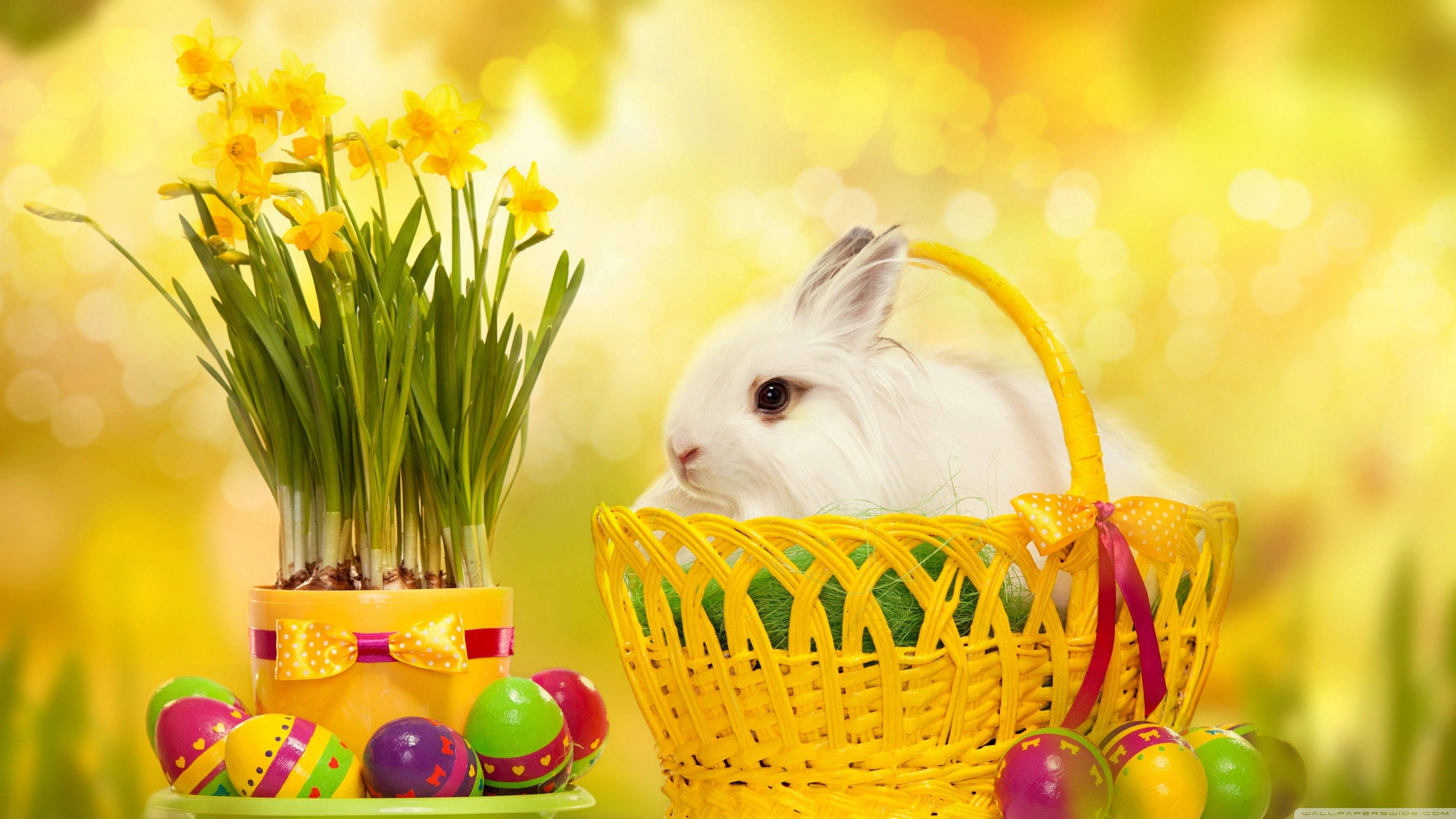 golden, bunny, yellow basket, 2K Desktop Wallpaper
