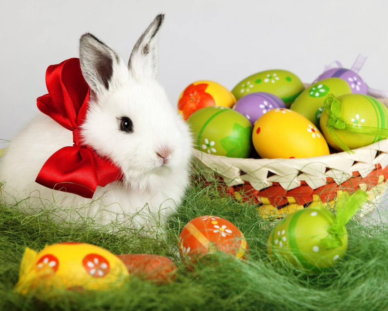 Cute Easter Bunny, red bow, basket, HD Desktop Wallpaper