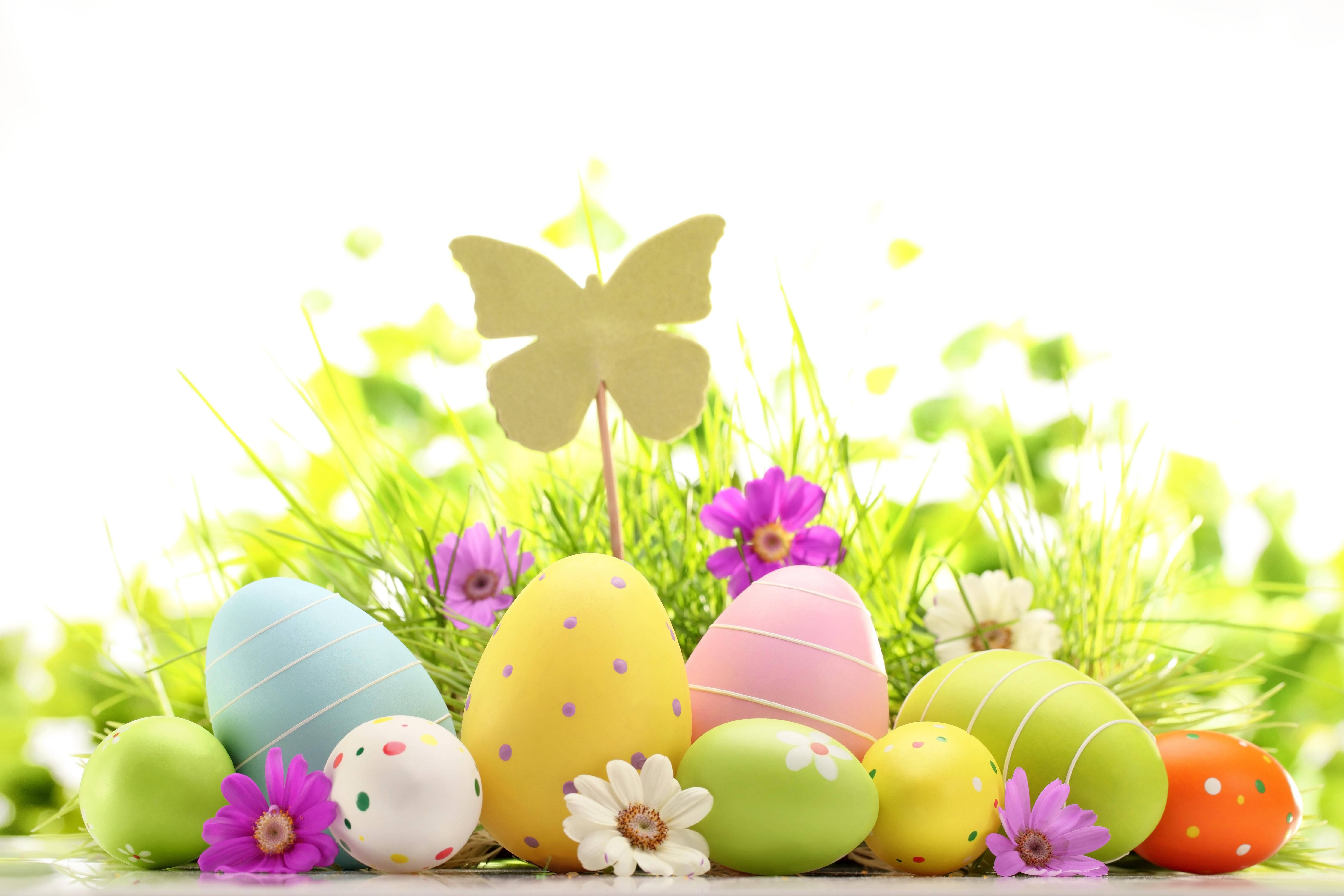 Cute Easter, butterfly, colorful Easter eggs, 5K Desktop Wallpaper