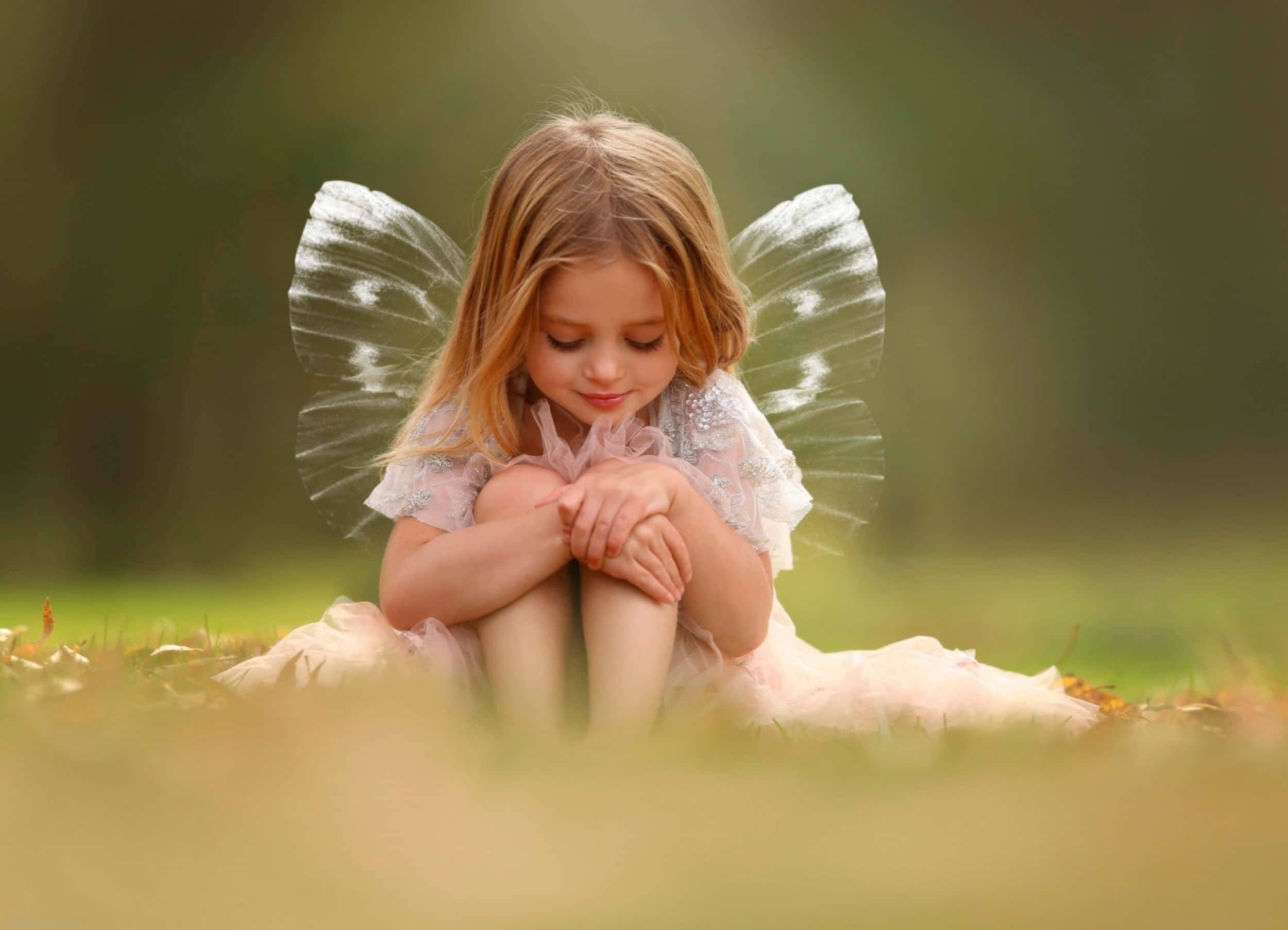 cute fairy, butterfly wings, grassy field, Full HD Desktop Wallpaper
