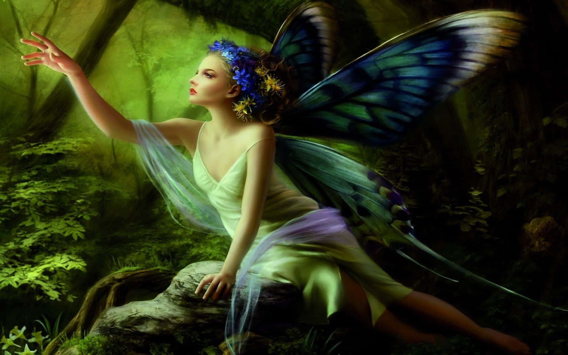 cute fairy, butterfly wings, blue floral crown, Full HD Desktop Wallpaper