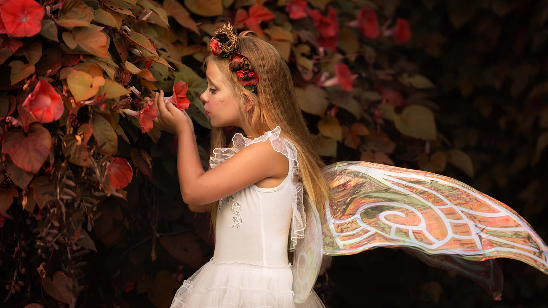 cute fairy, white dress, floral wings, Full HD Desktop Wallpaper