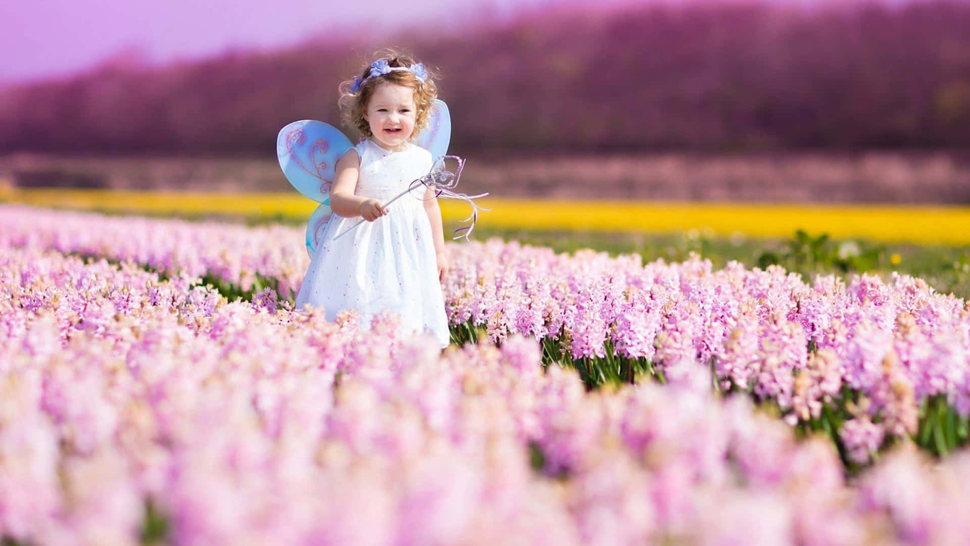 cute fairy, blue wings, vibrant field of pink hyacinths, Full HD Desktop Wallpaper
