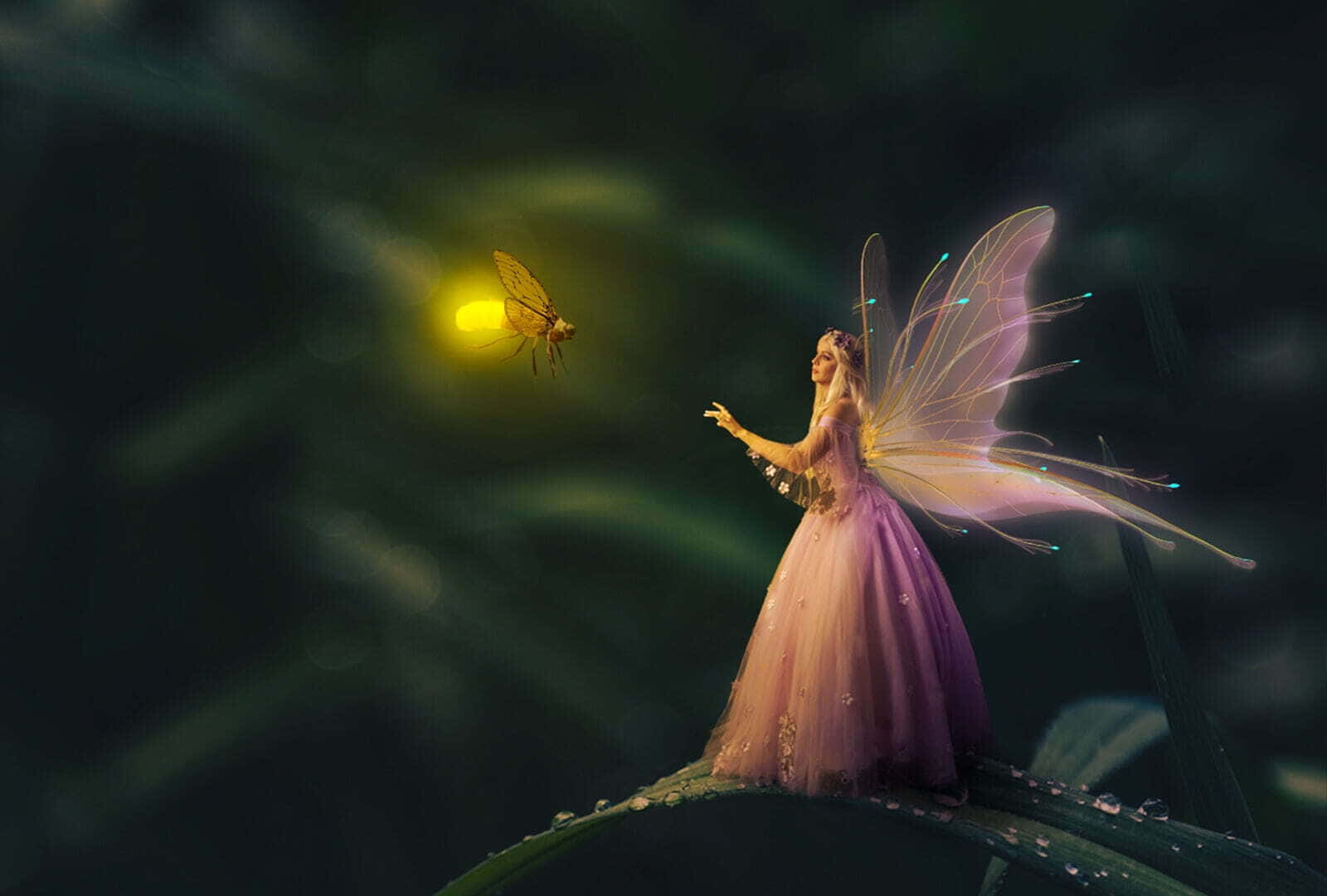 cute fairy, glowing purple gown, dewy leaf, HD Desktop Wallpaper