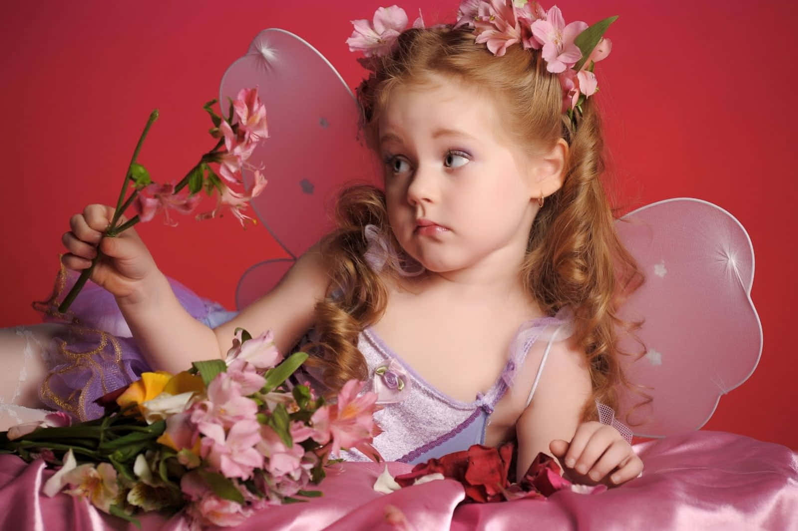 cute fairy, pink wings, floral crown, HD Desktop Wallpaper