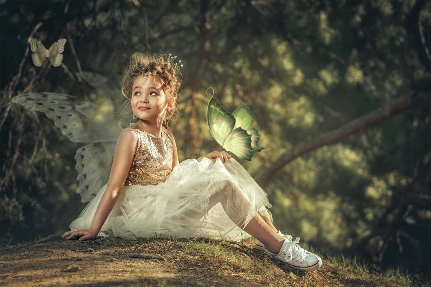 Cute Fairy, shimmering dress, butterfly wings, HD Desktop Wallpaper