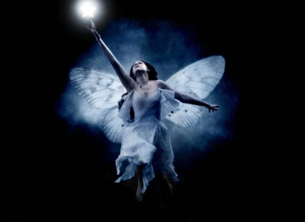 cute fairy, moth wings, glowing star, SD Desktop Wallpaper