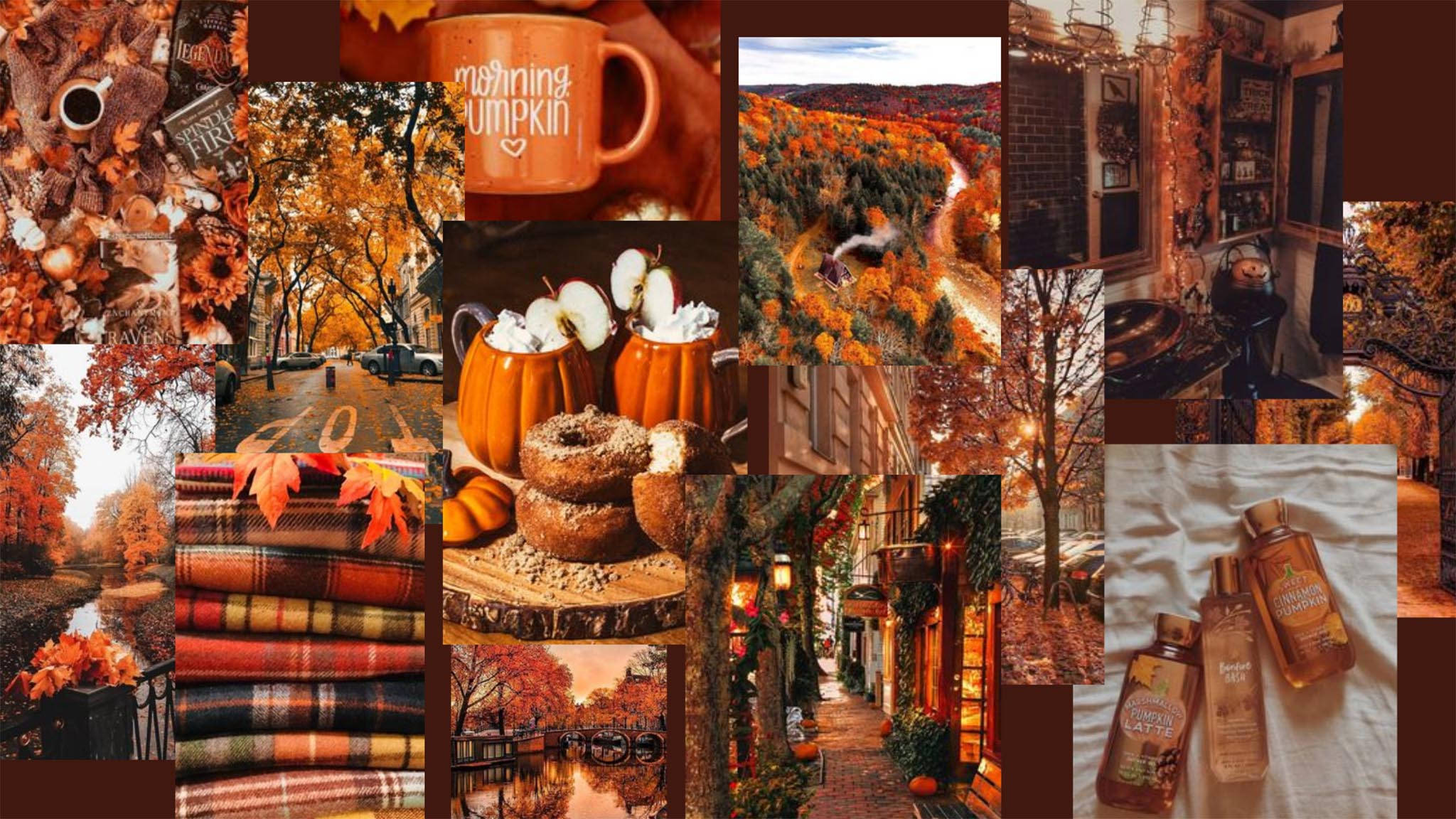 pumpkins, cozy blankets, fall foliage, Full HD Desktop Wallpaper